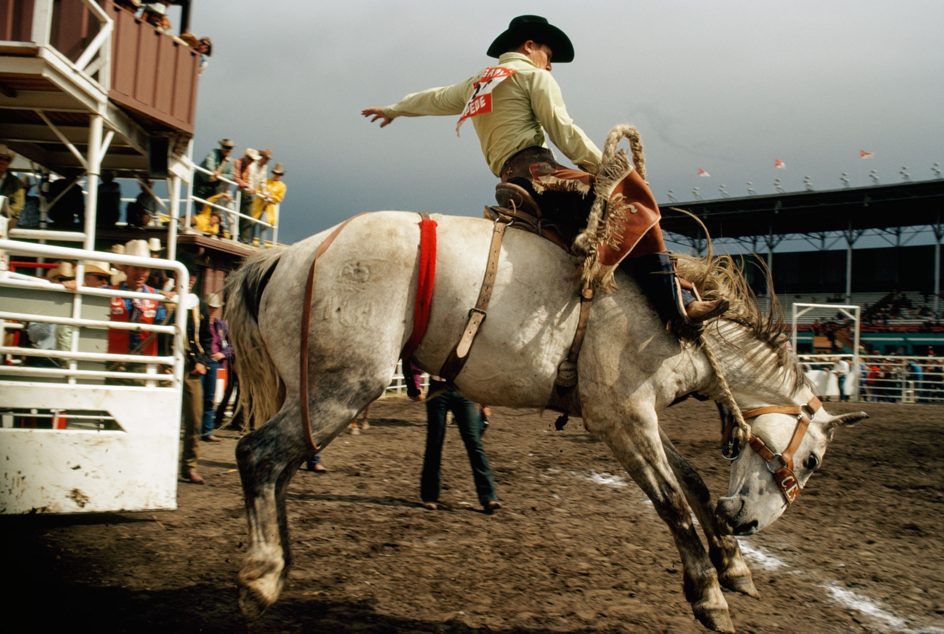 a cowboy riding a horse at a rodeo