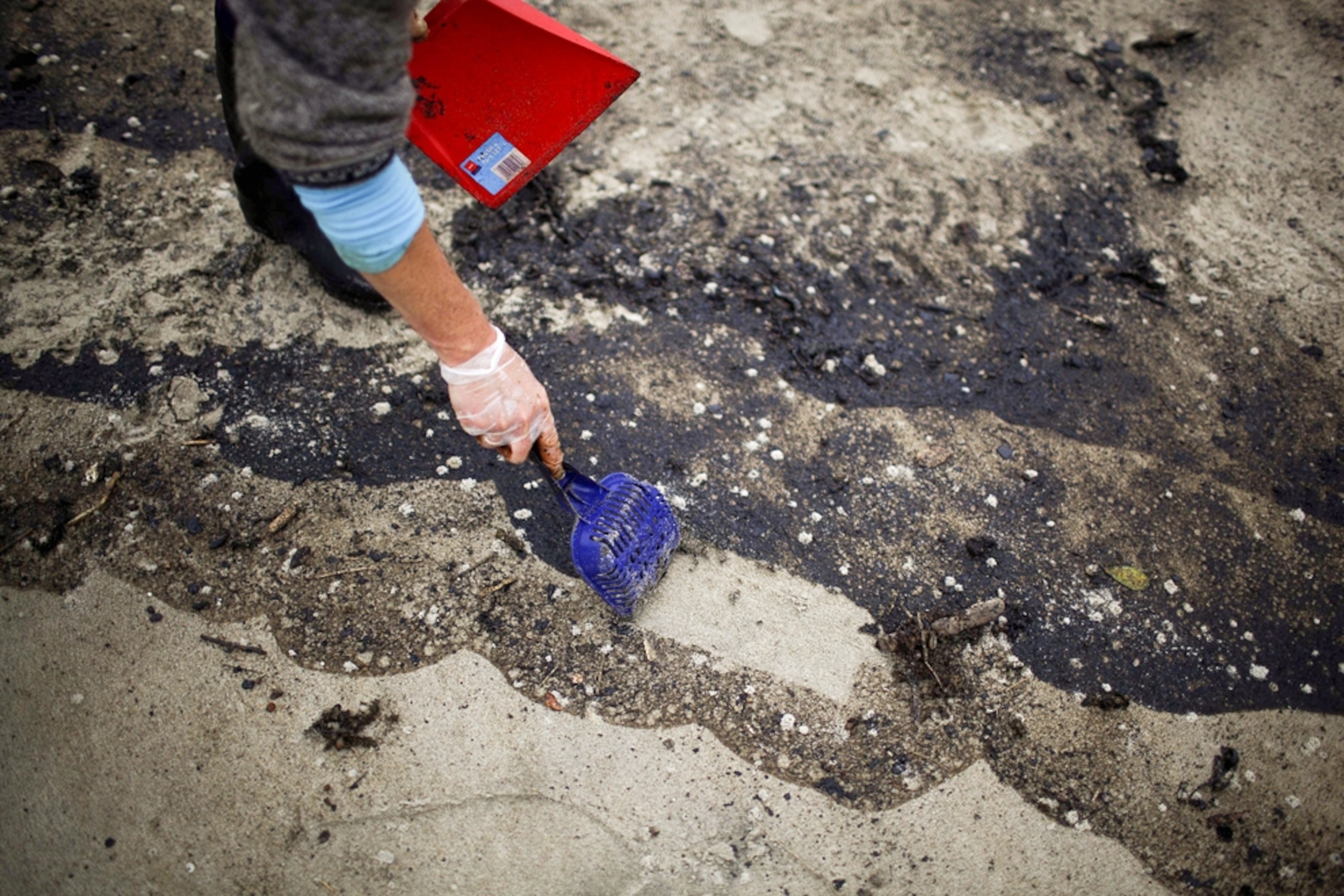 New Zealand oil spill picture: beach cleanup