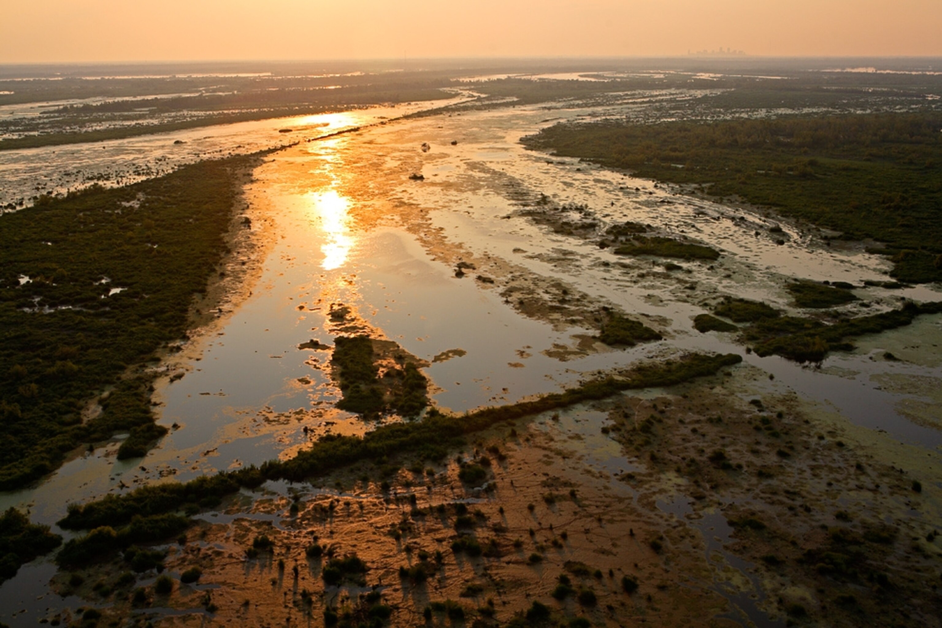 A hurricane-devastated marsh.