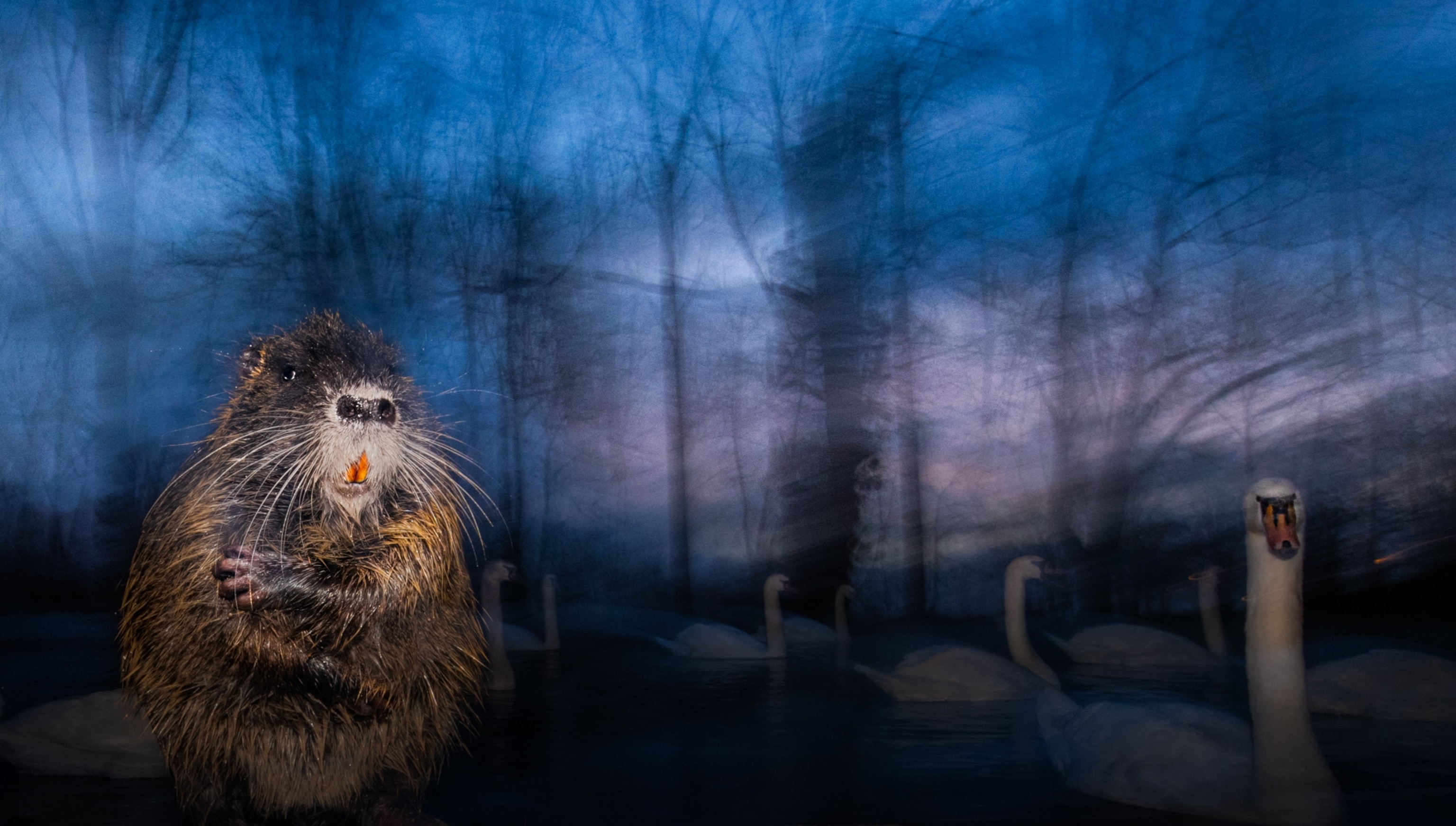 A rodent makes an appearance in a blurry frame.