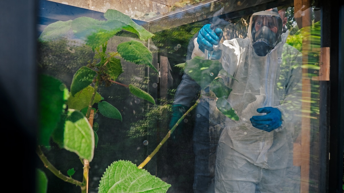 What it takes to tend the world’s deadliest garden