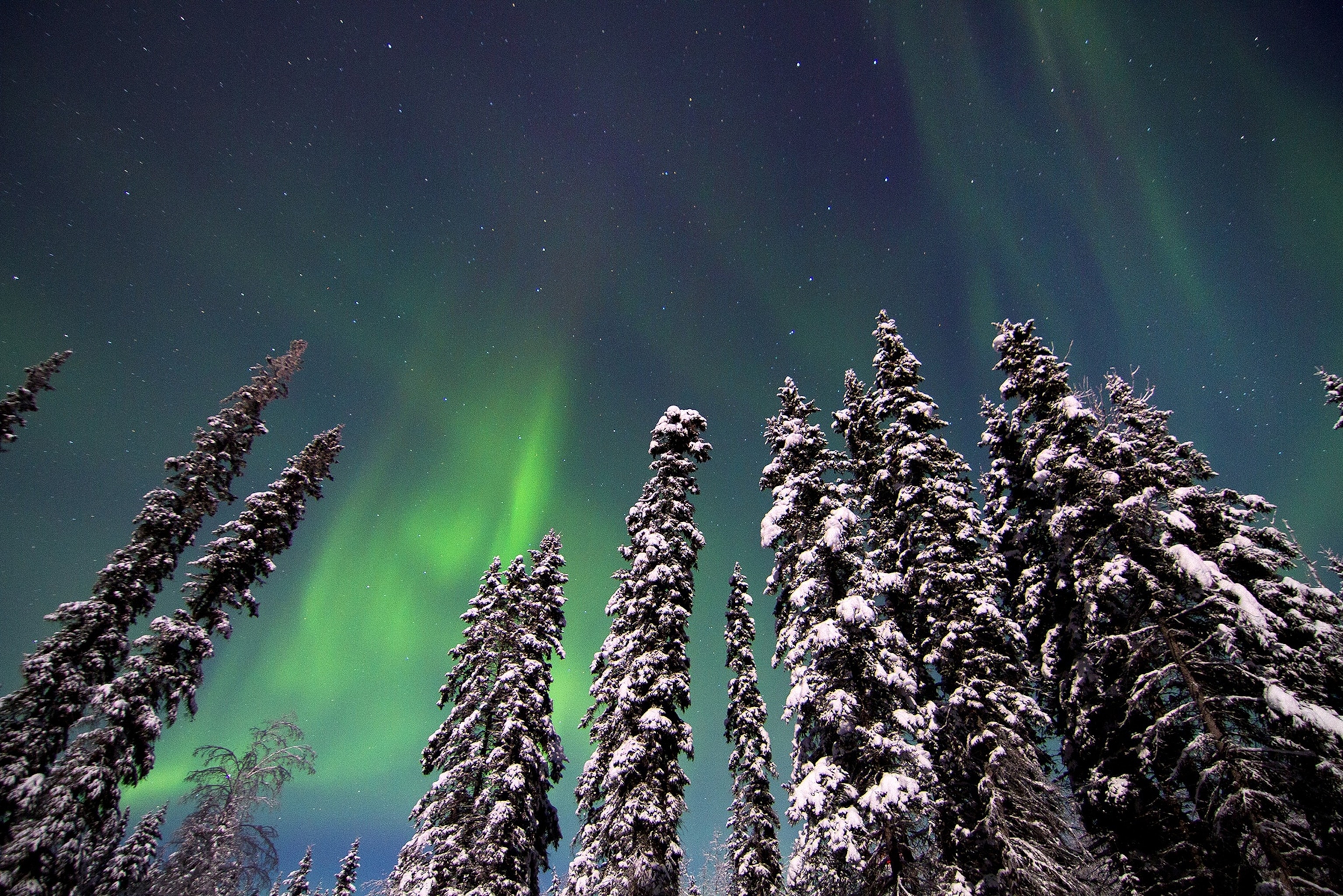Centaurus A is a galaxy well known for a gargantuan jet blasting away from a central supermassive black hole, which is seen in this new Chandra image.  This image - where red, medium, and blue show low, medium, and high-energy X-rays respectively - has been processed with new techniques and contains data from observations equivalent to over nine and a half days worth of observing time taken between 1999 and 2012.  T