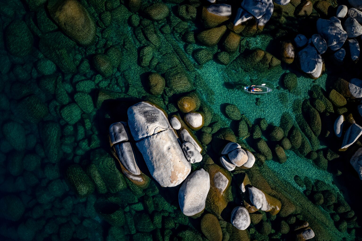 MORSEL: KYŌTEN (February 2025), image size:1533x1022