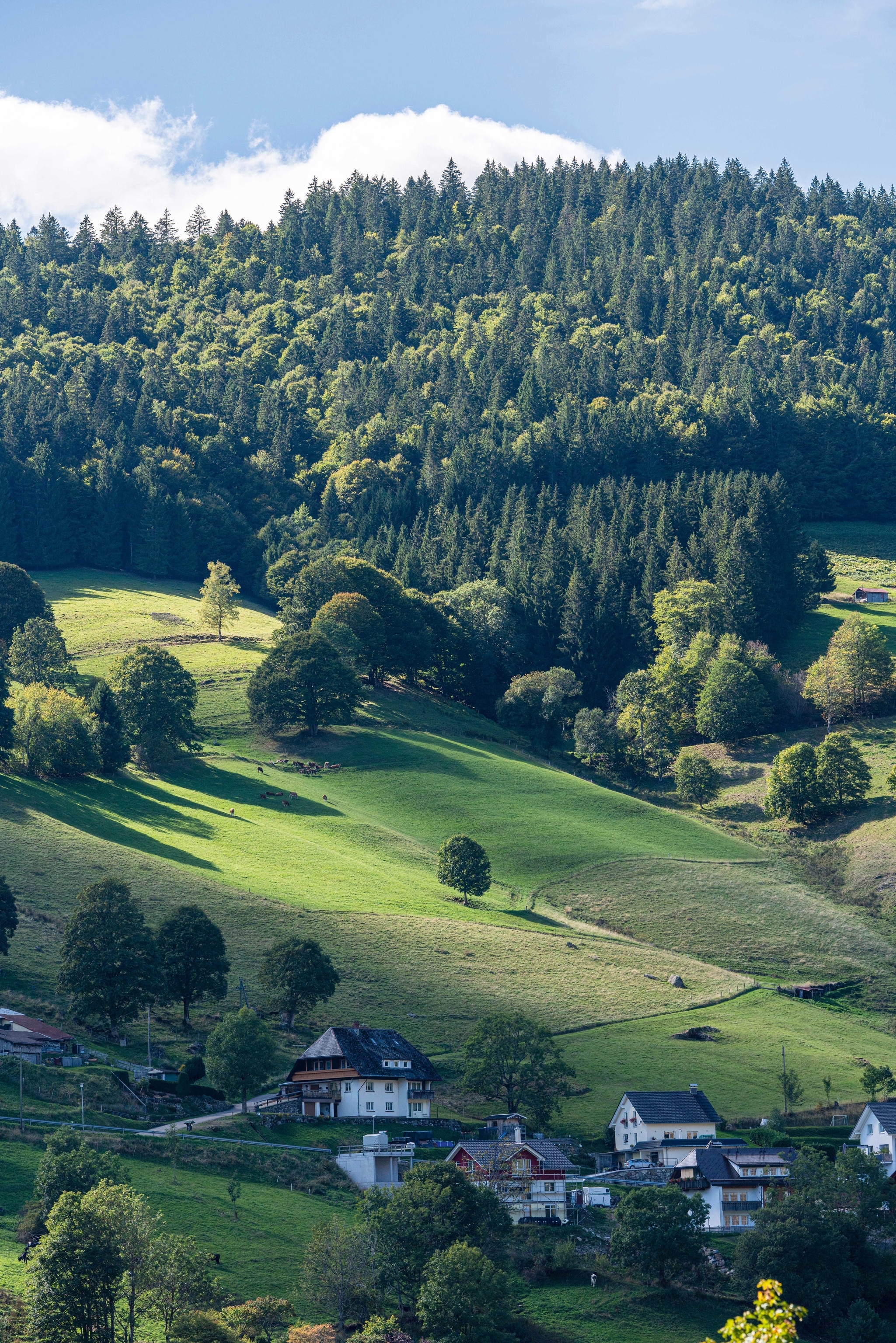 A picturesque town sits between green mountains