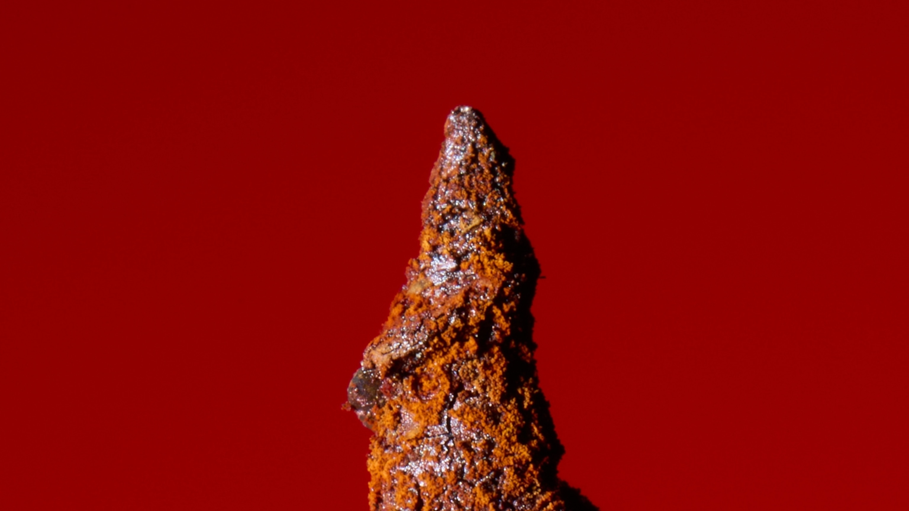 Tetanus is making a comeback. There’s an easy way to fight back.