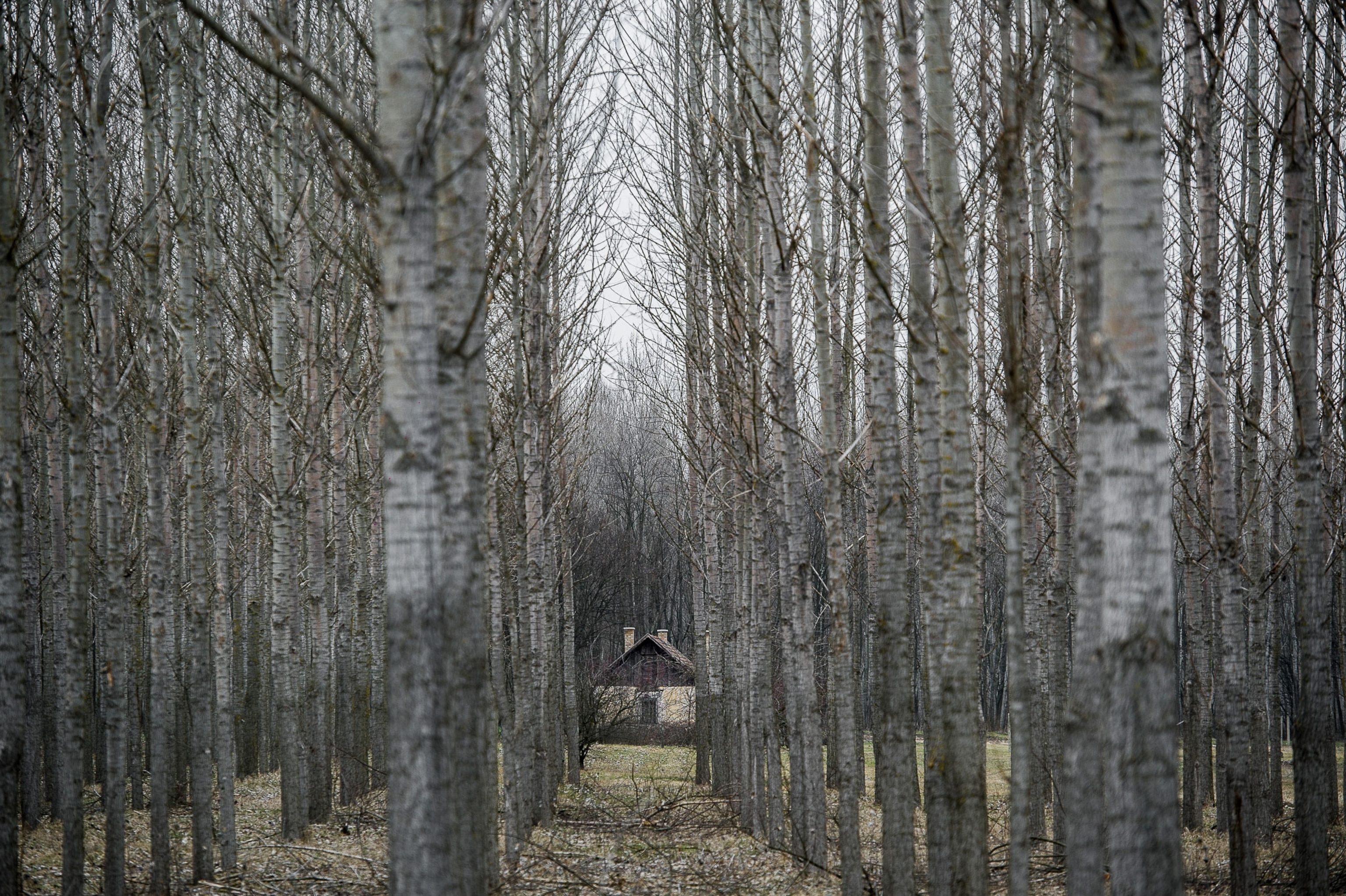 a farm in Hungary.