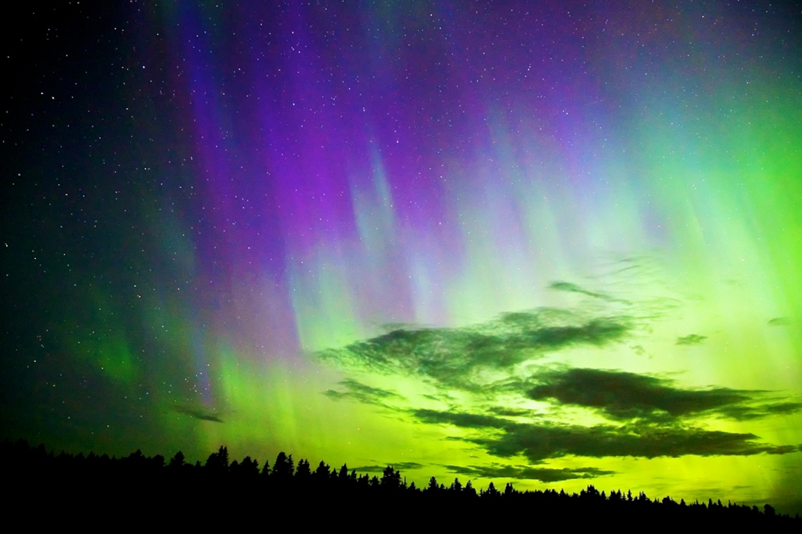 Aurora picture: northern lights over Canada