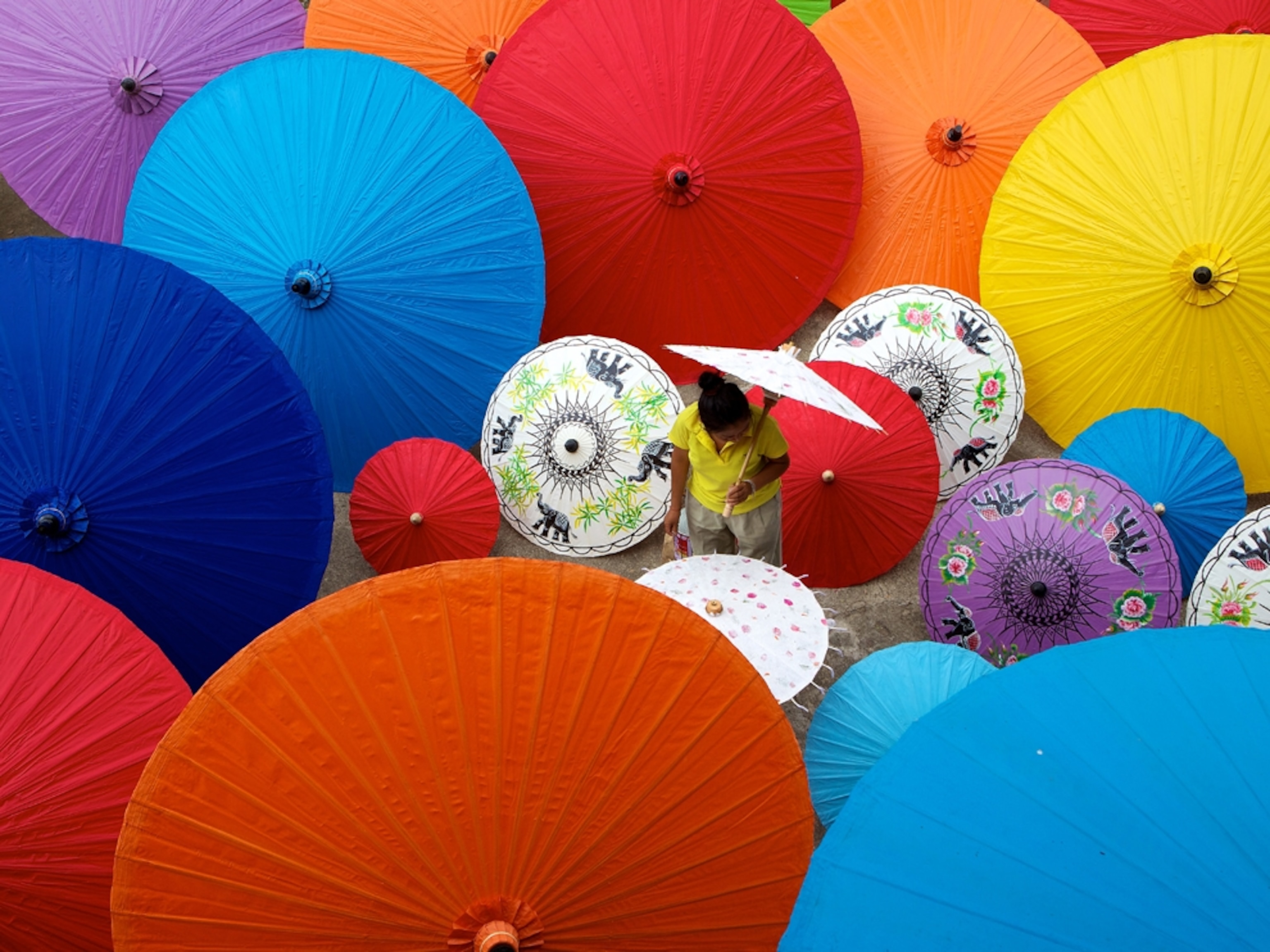 Umbrellas in Chiang Mai