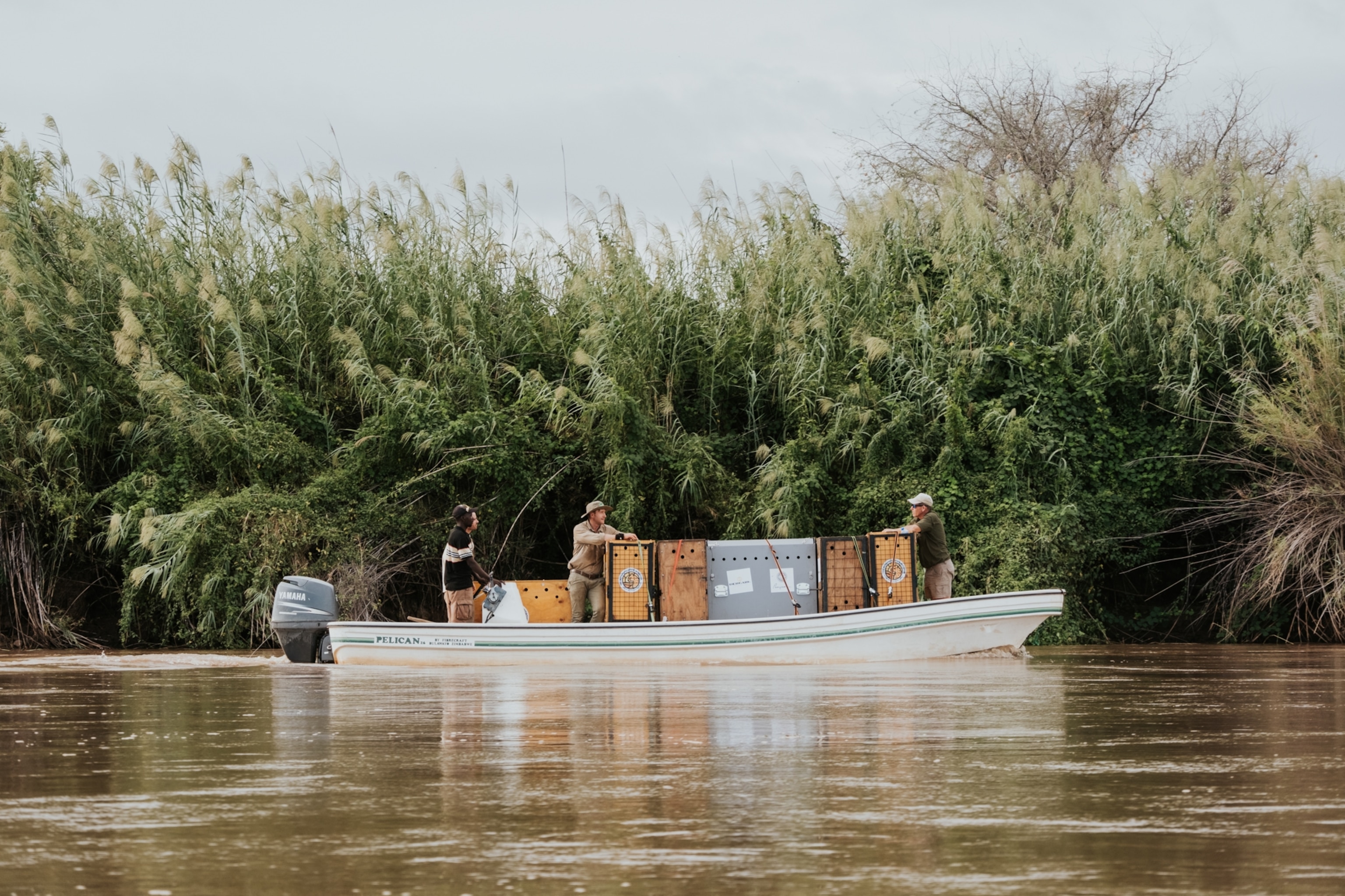 A boat on a river with three people handling large wooden crates near dense green shrubs.