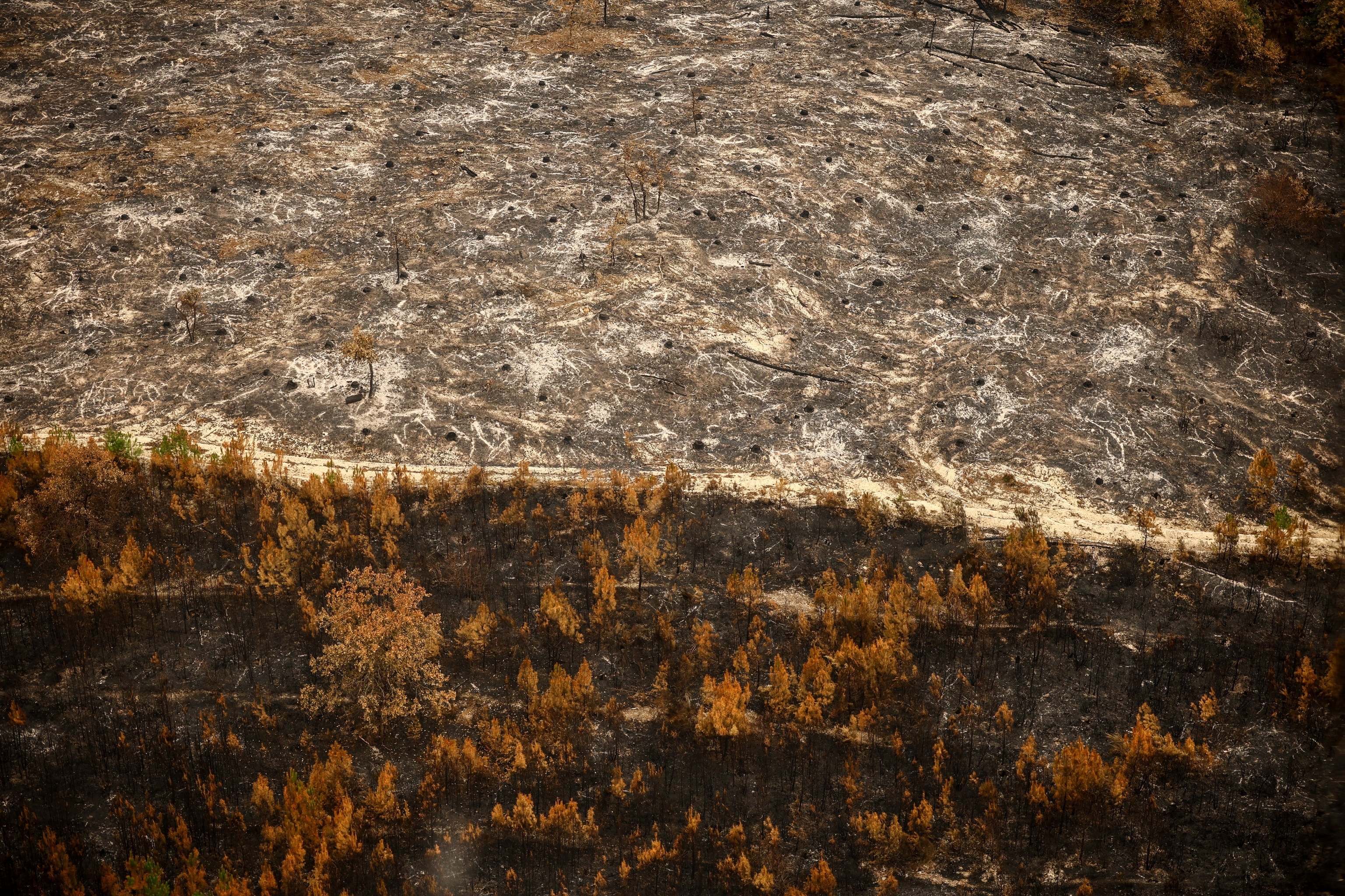 Aerial view of wildfire destruction.
