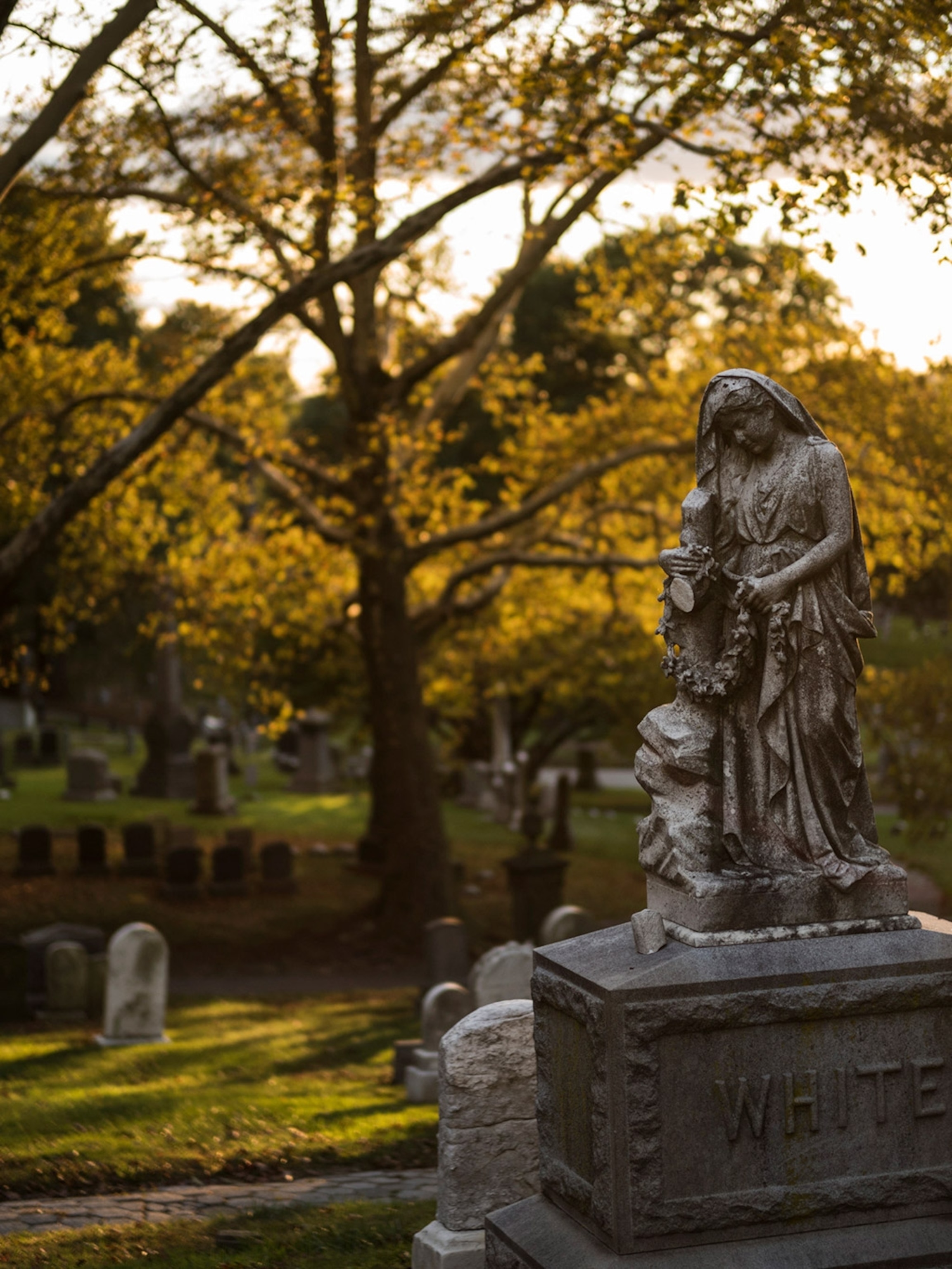 Can Dogs Smell Bodies In Cemeteries