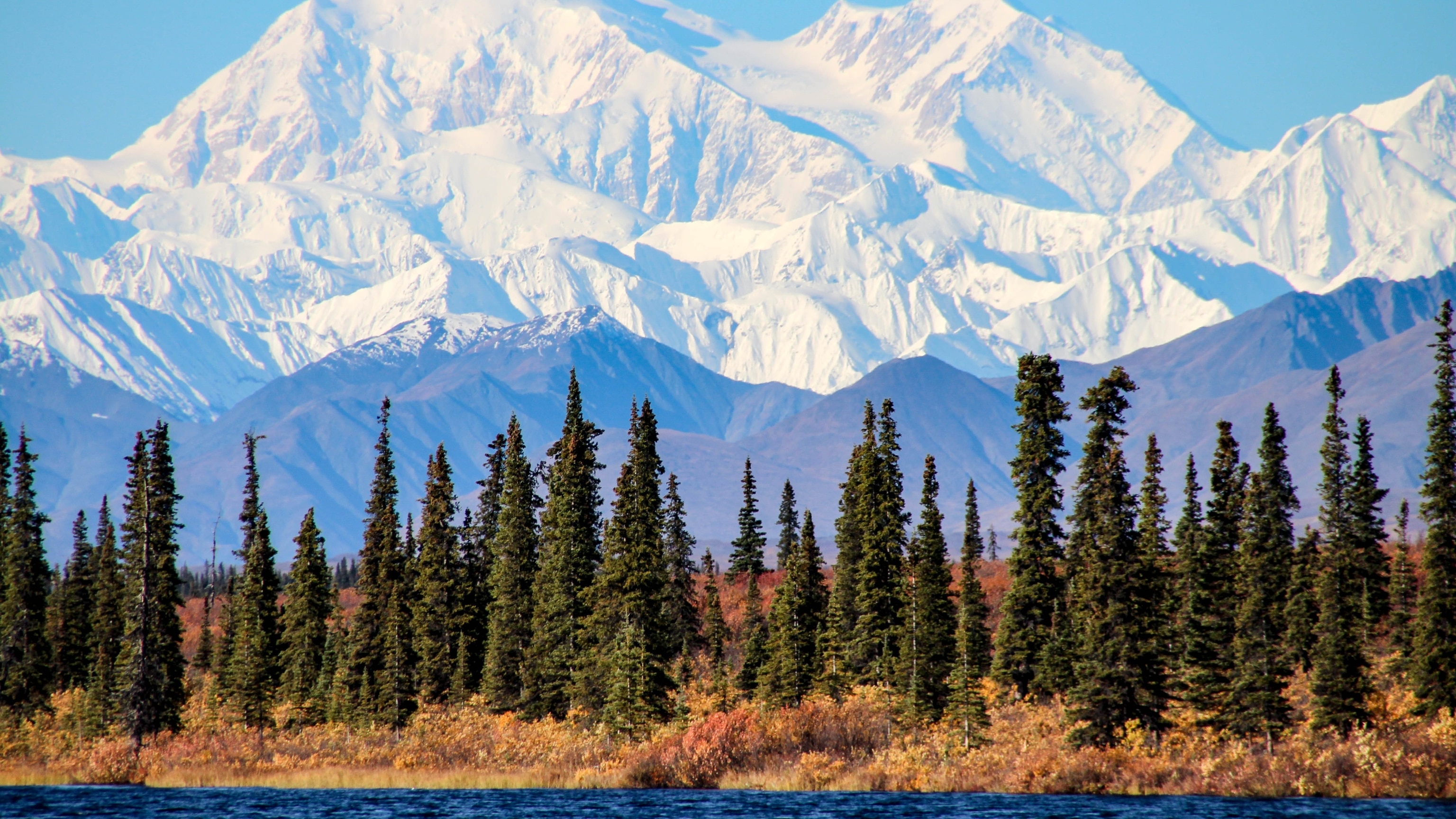 Everything you should know about Denali National Park and Preserve