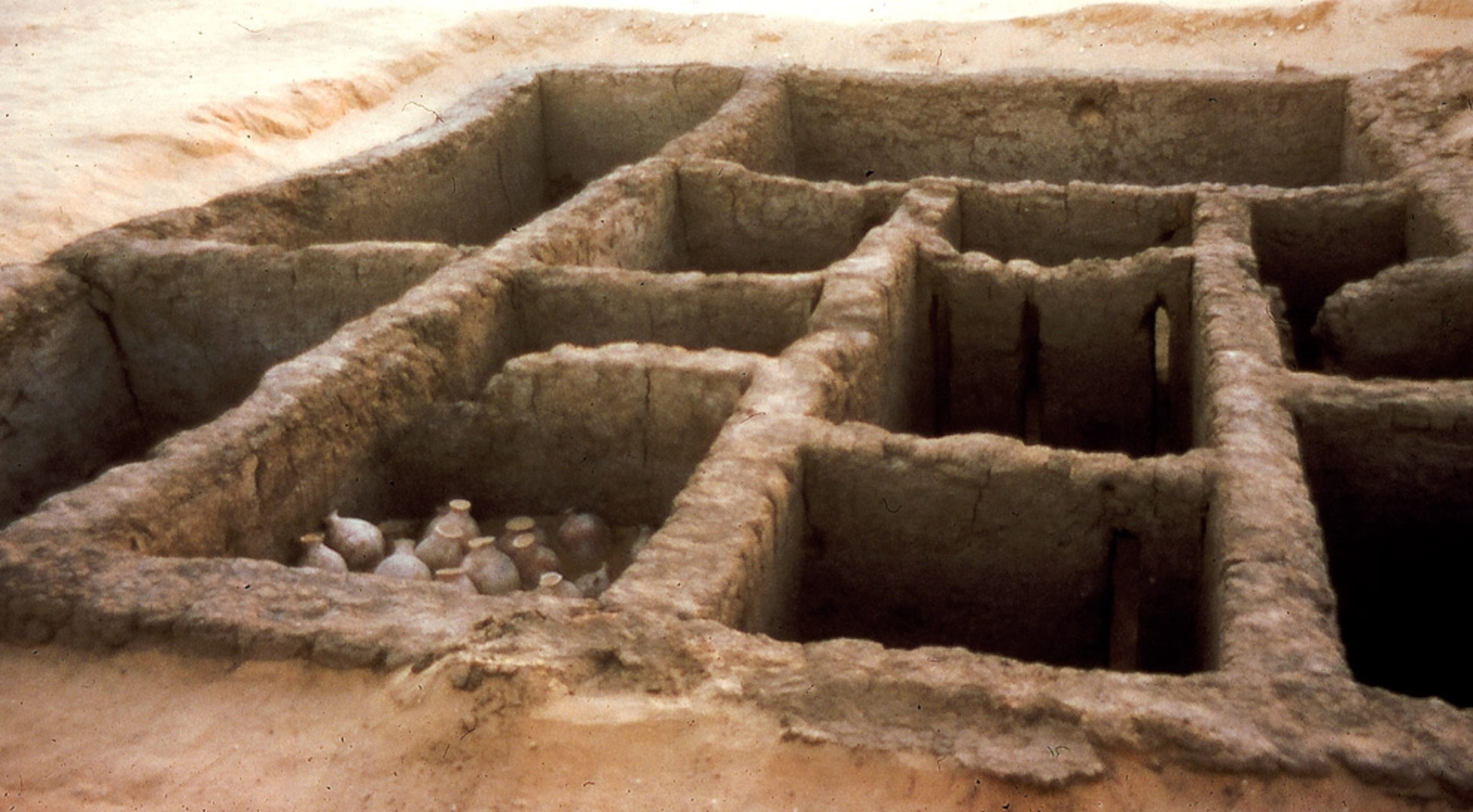 A man preparing meats and cheeses in a cellar