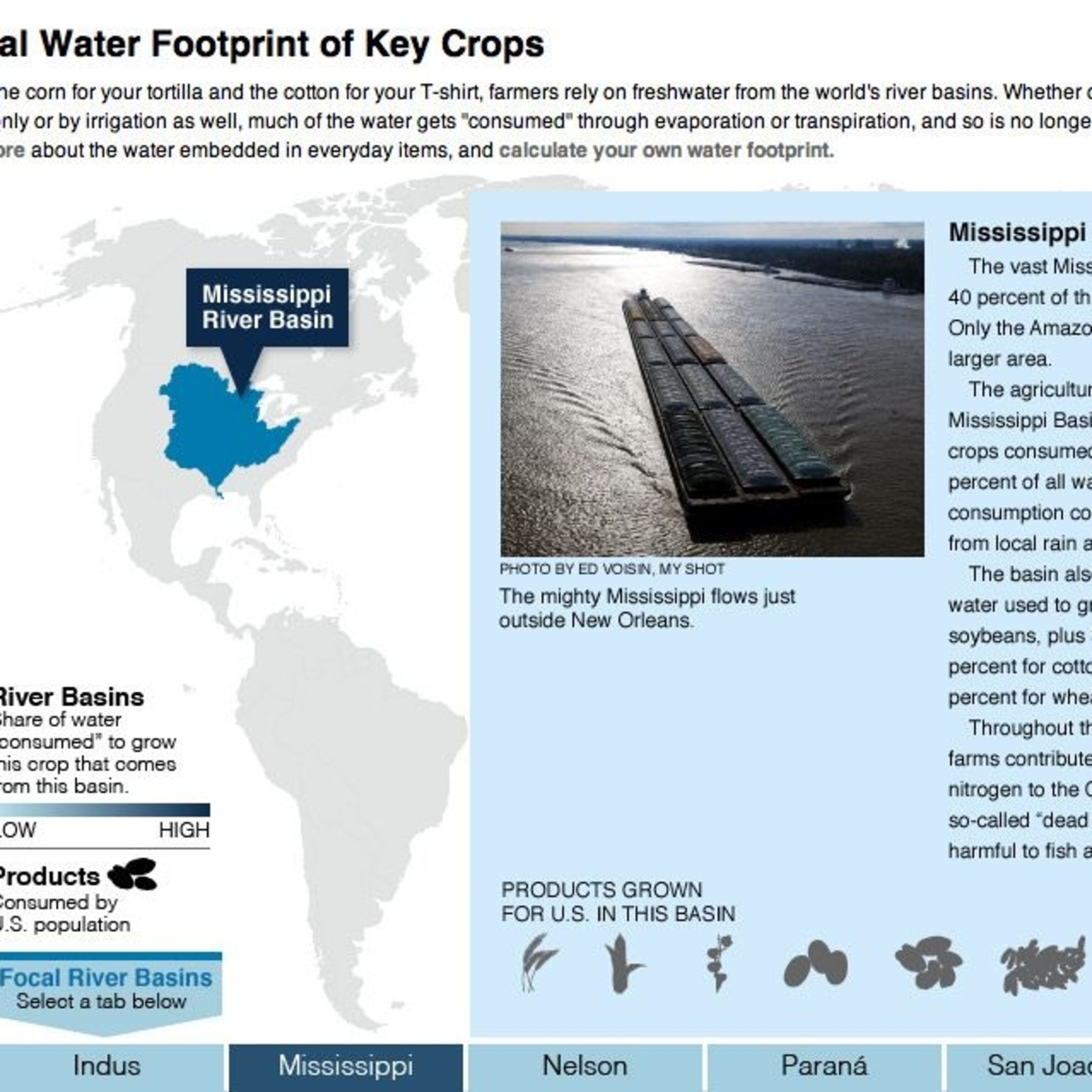 Real Christmas Trees Save Water Real Christmas Trees Save Water