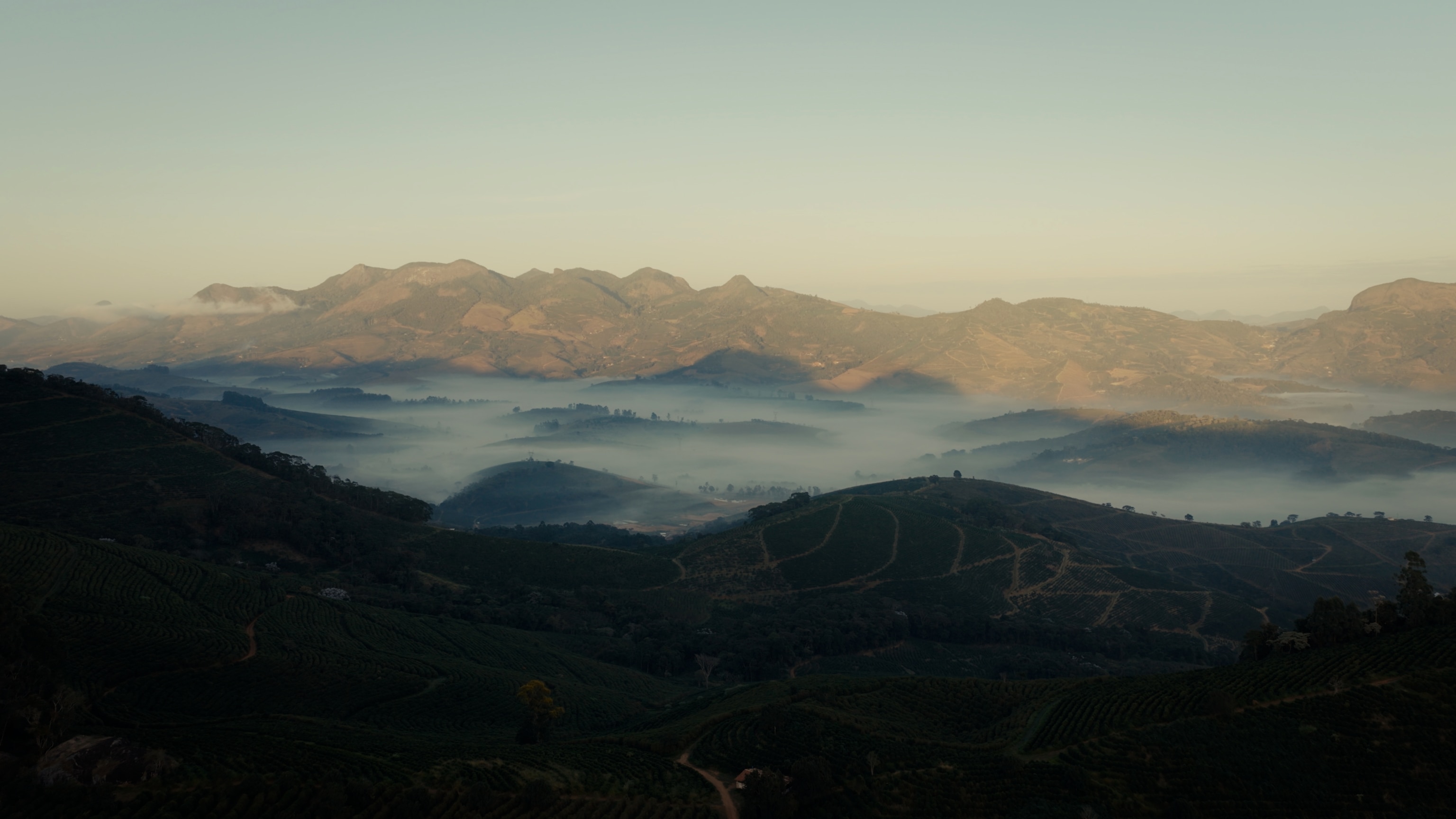 Mist settles in the valleys between hillside fields at sunrise, with a mountain range behind.