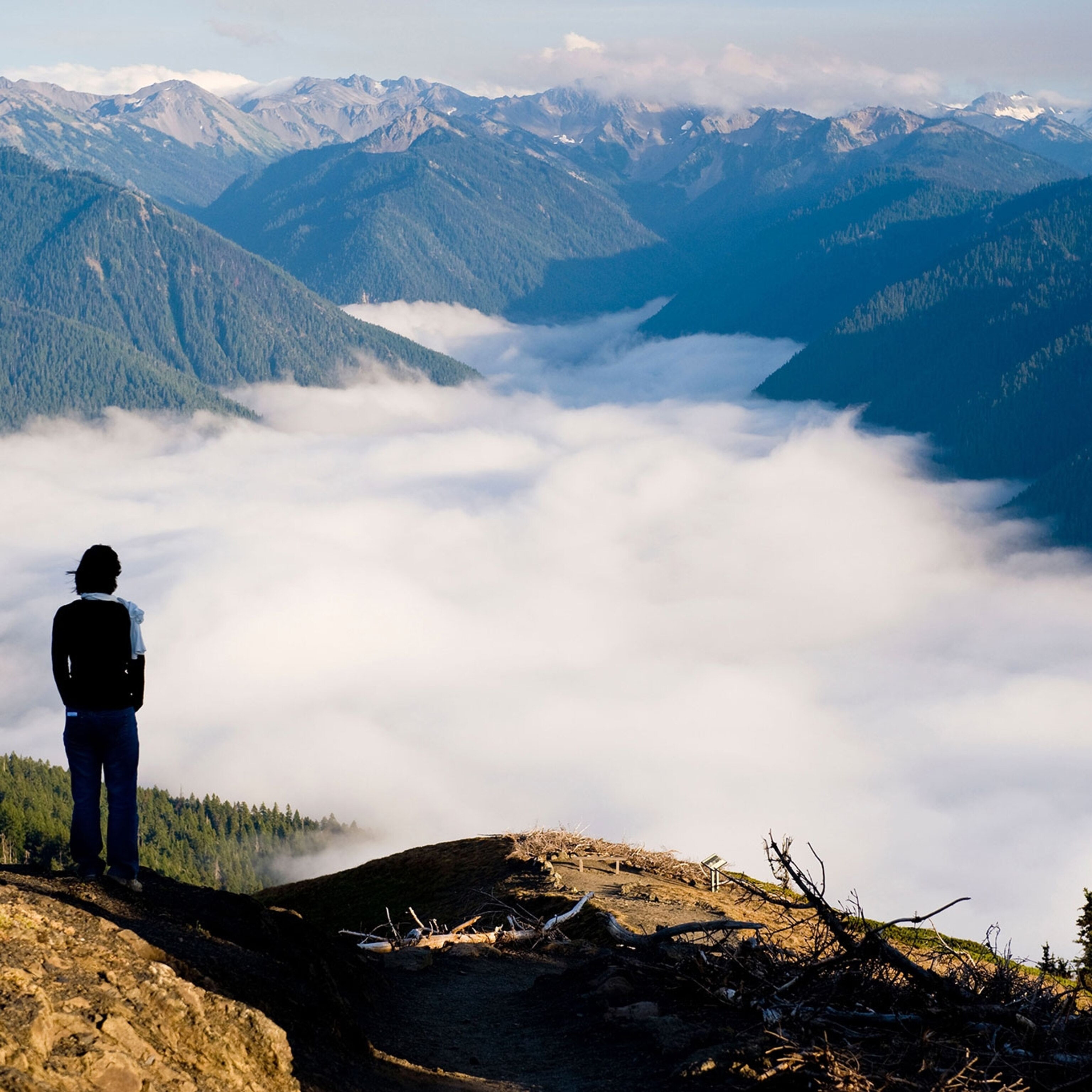 olympic mountain hikes