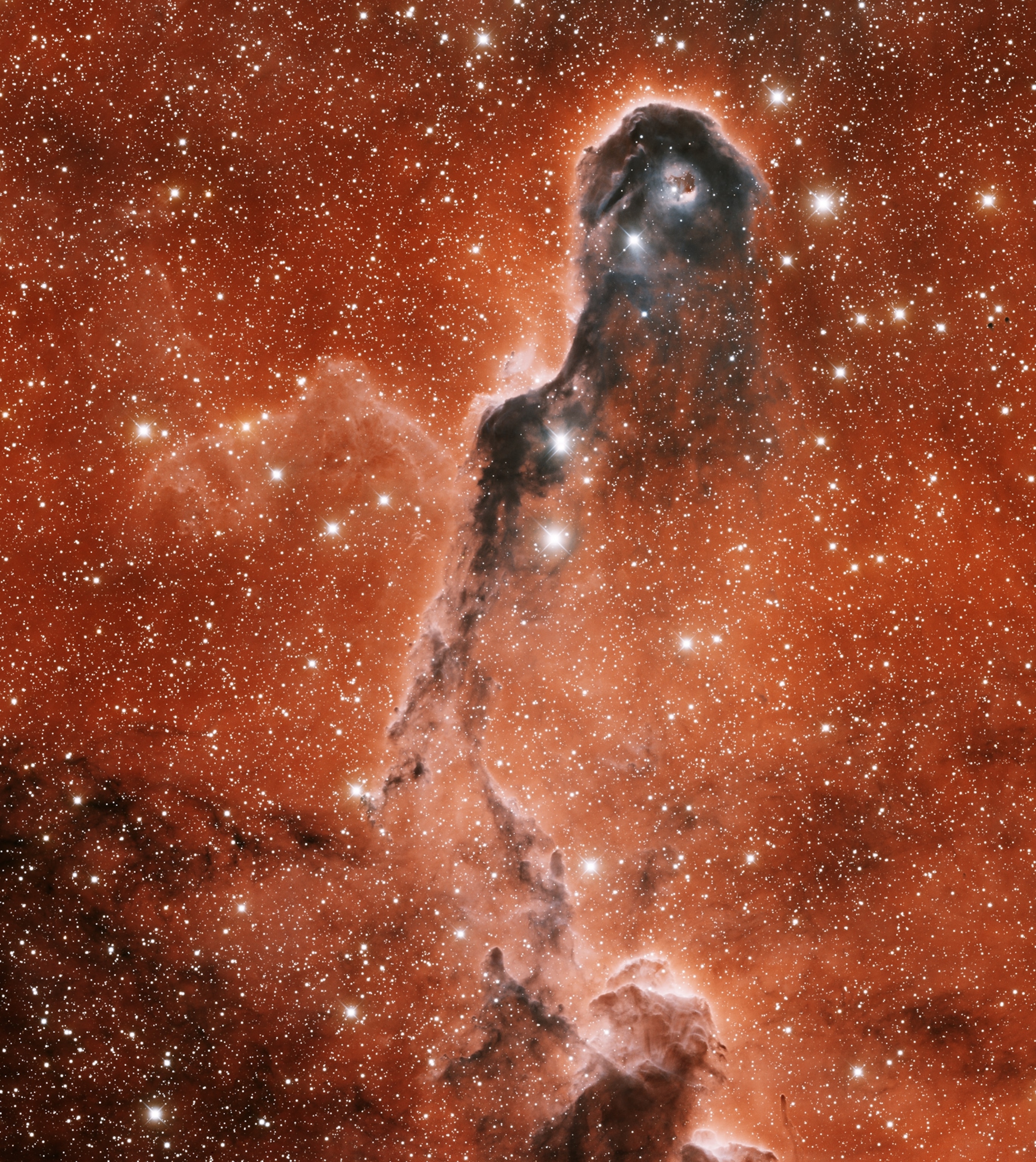 Week in Space - A picture of the Elephant Trunk nebula.