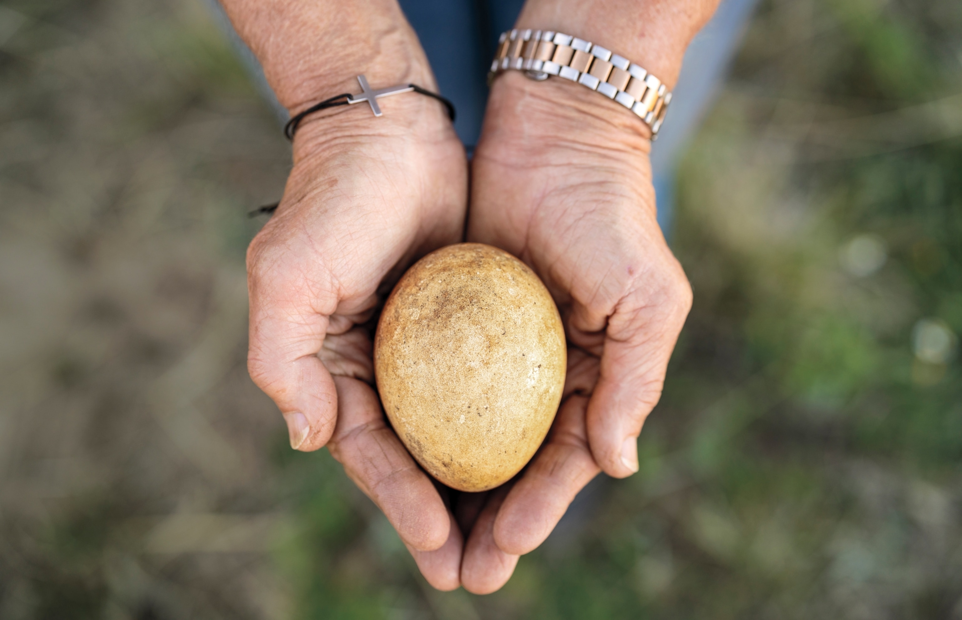 Overhead image looking down at a person holding an egg in their hands.