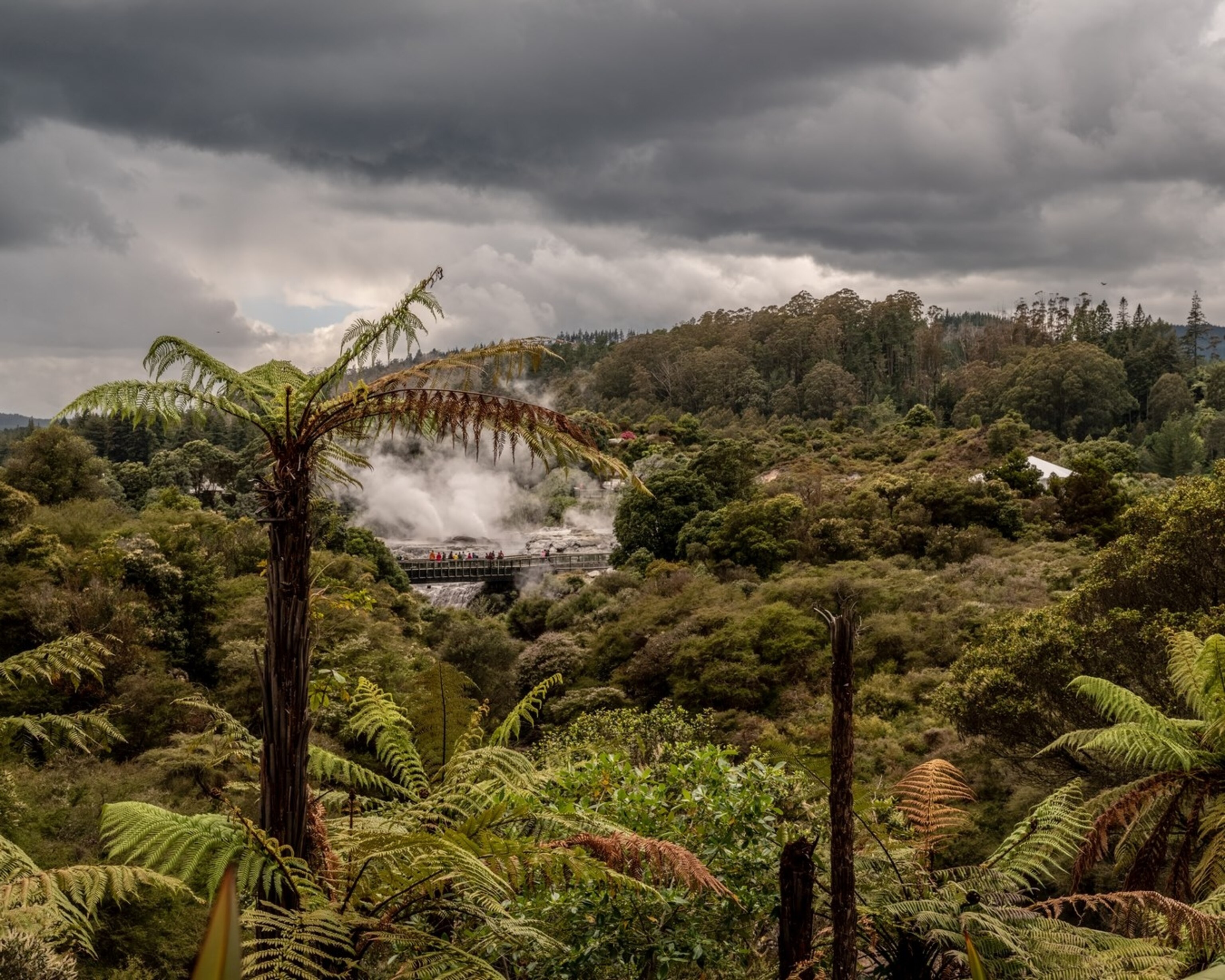 New Zealand, Rotorua and Bay of Plenty
