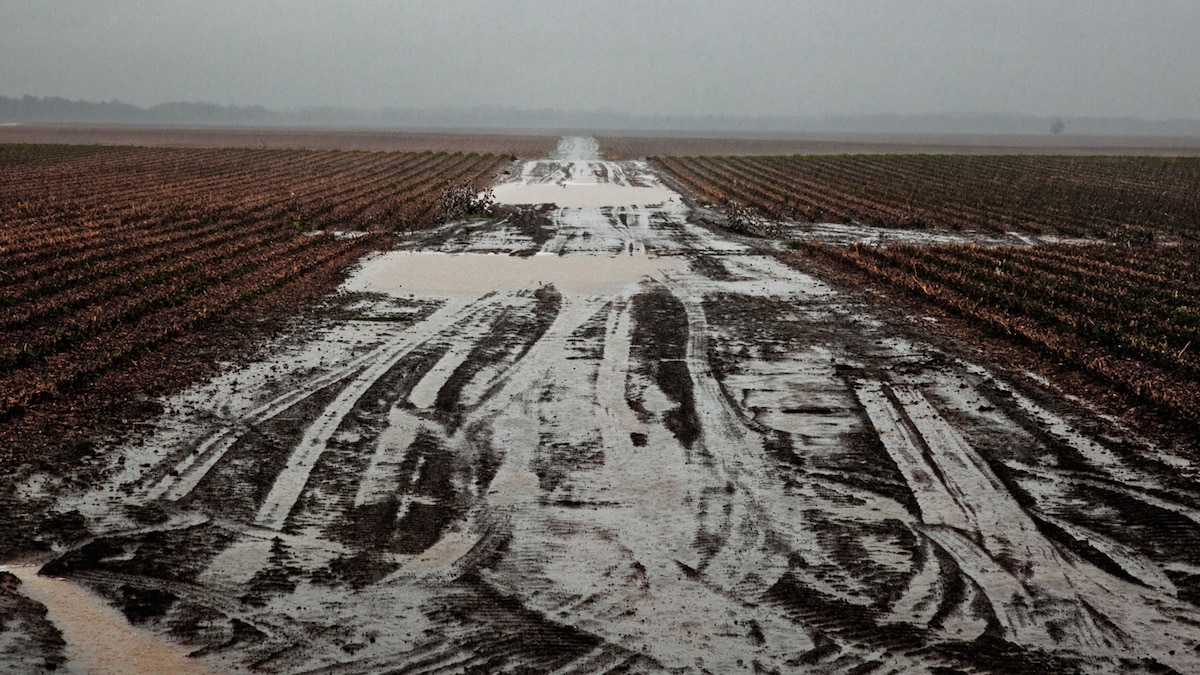 Arkansas Delta, 40 Years Later