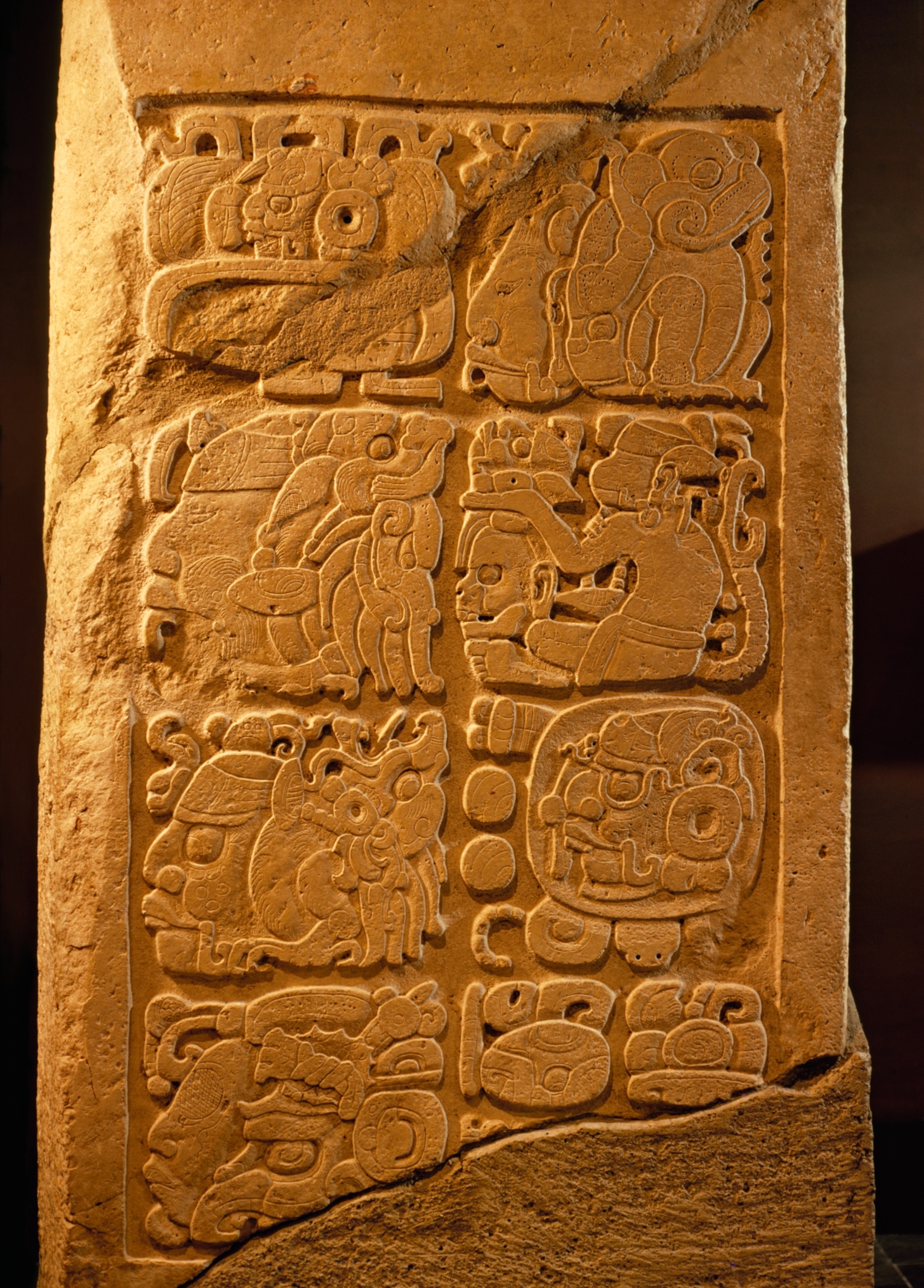 Ancient stone slab with intricate Mayan hieroglyphs, featuring stylized animal faces and human figures, illuminated warmly to reveal details
