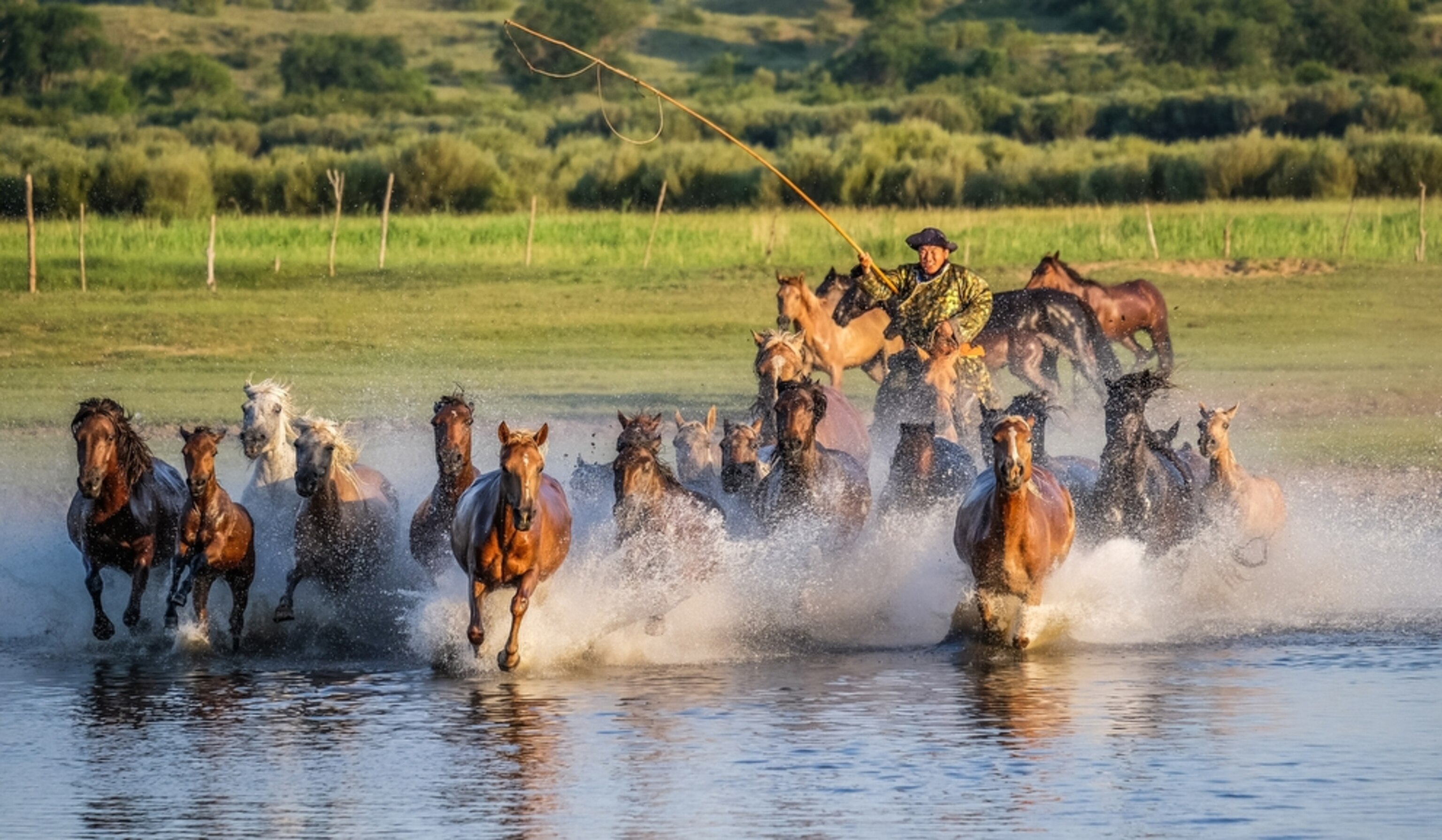 a horse driver in Inner Mongolia