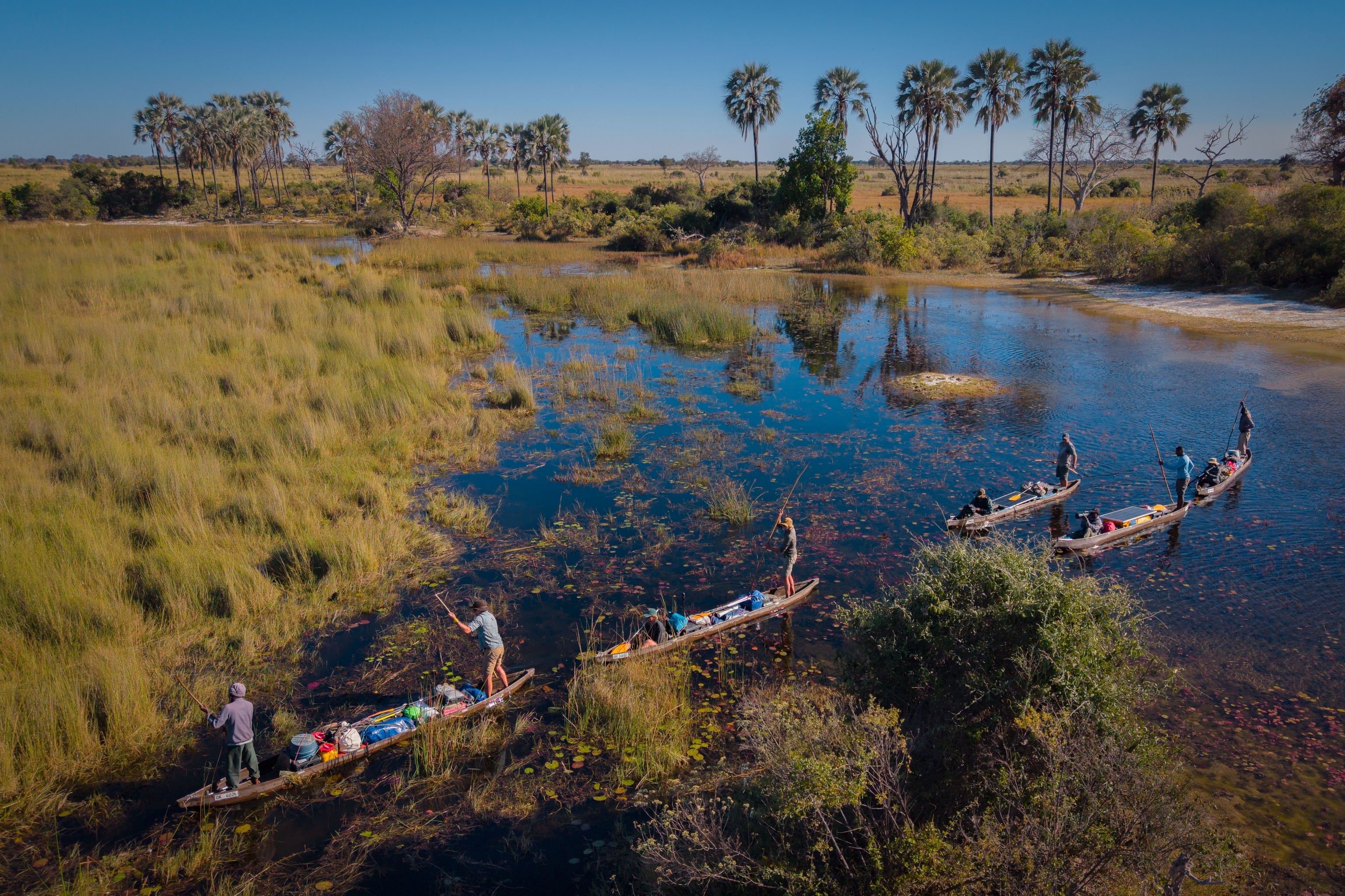 Okavango Delta