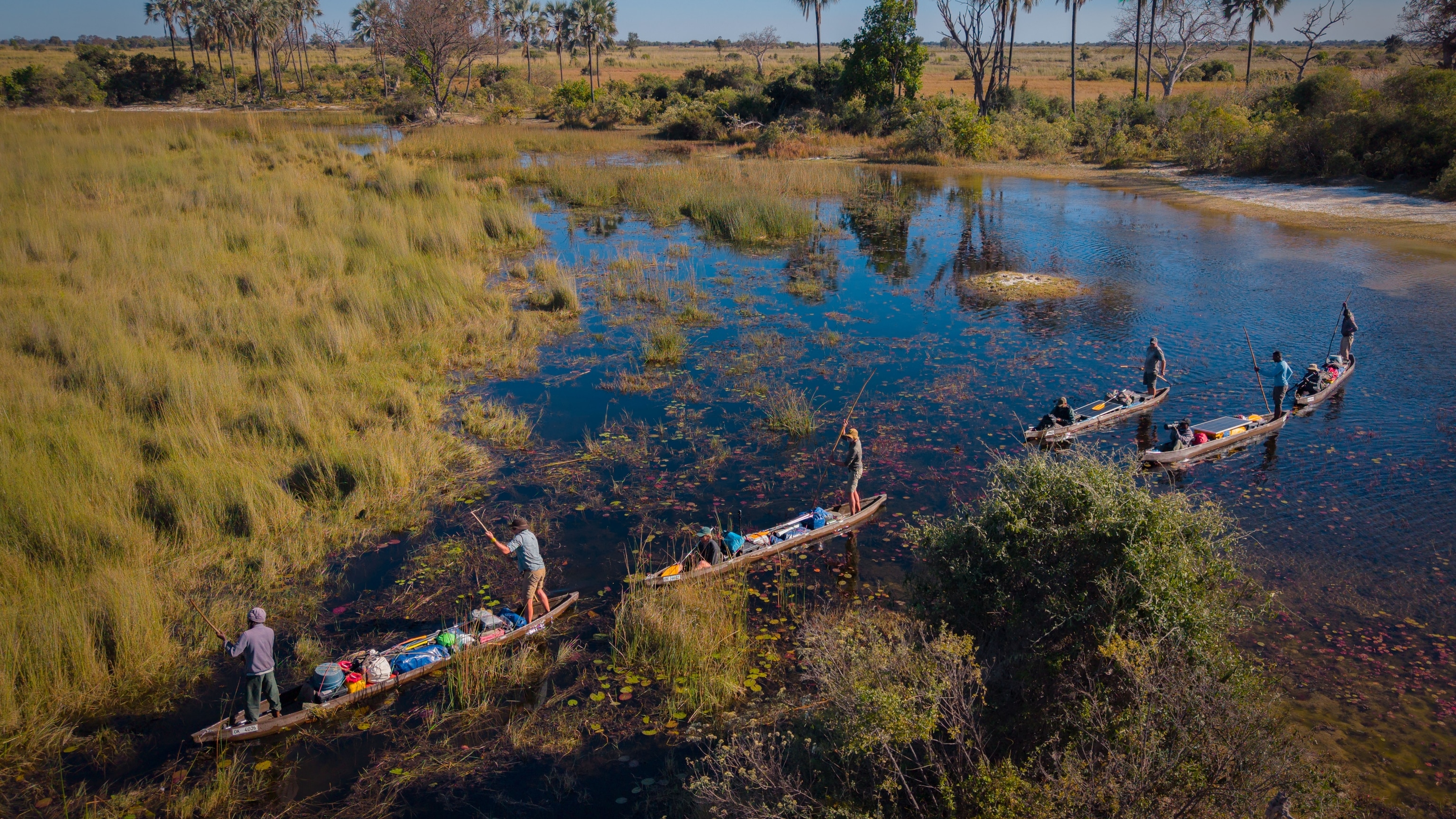 Navigating a Living Landscape