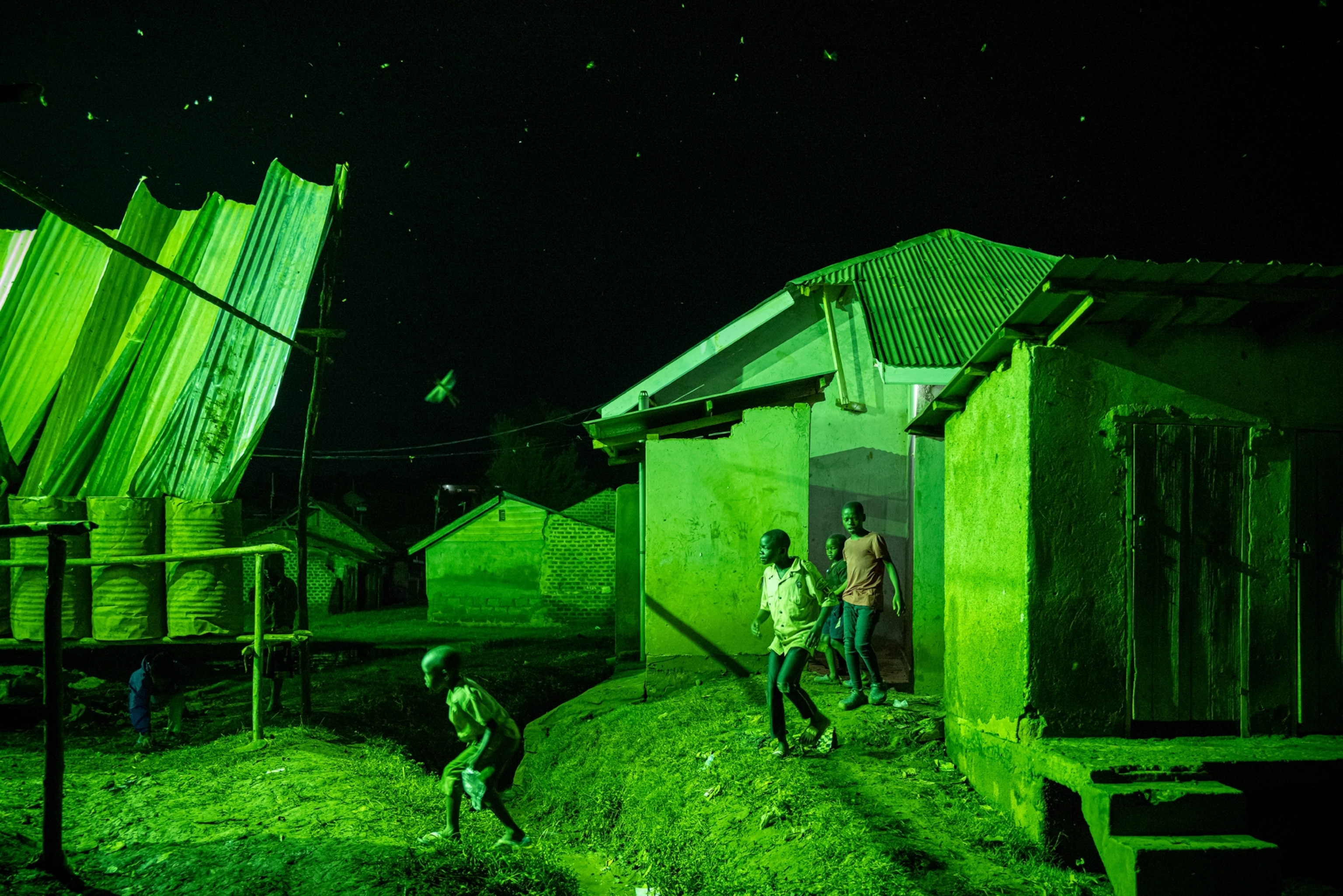 Picture of a group of children heading out to collect crickets by hand.
