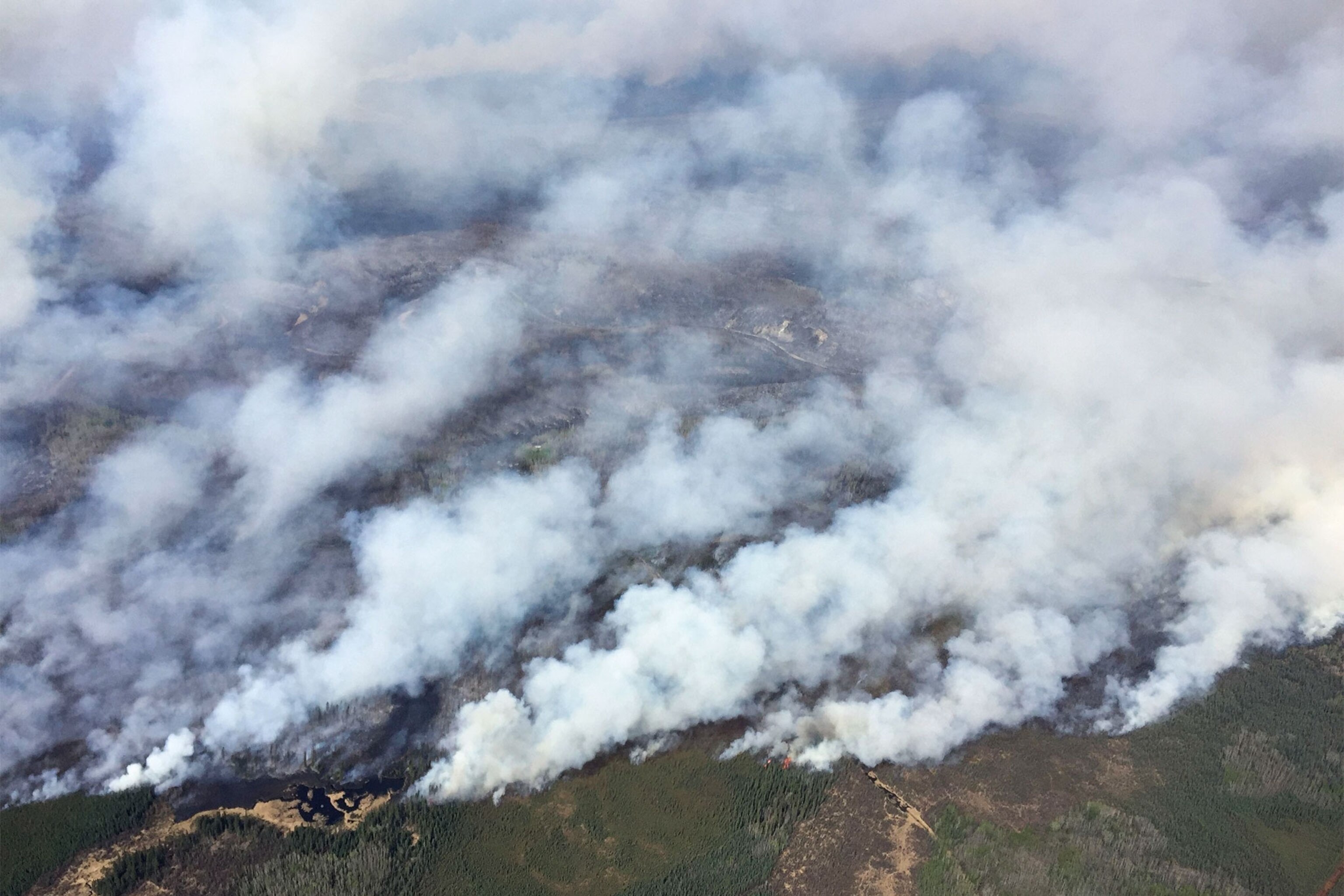 smoke from a wildfire