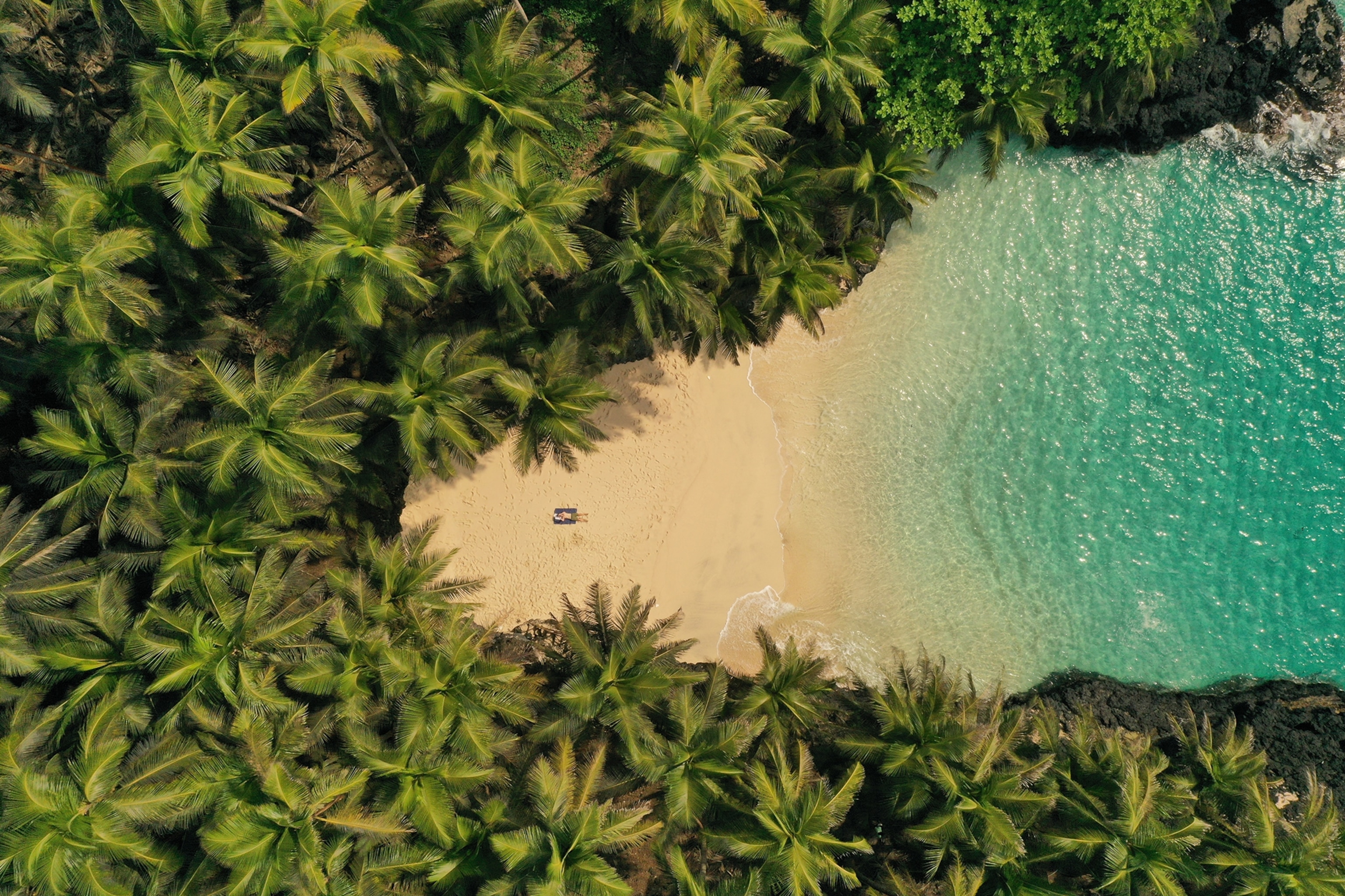 An aerial shot of a beach with a palm tree forest etching in on its outskirts and clear water hitting the sandy coast.
