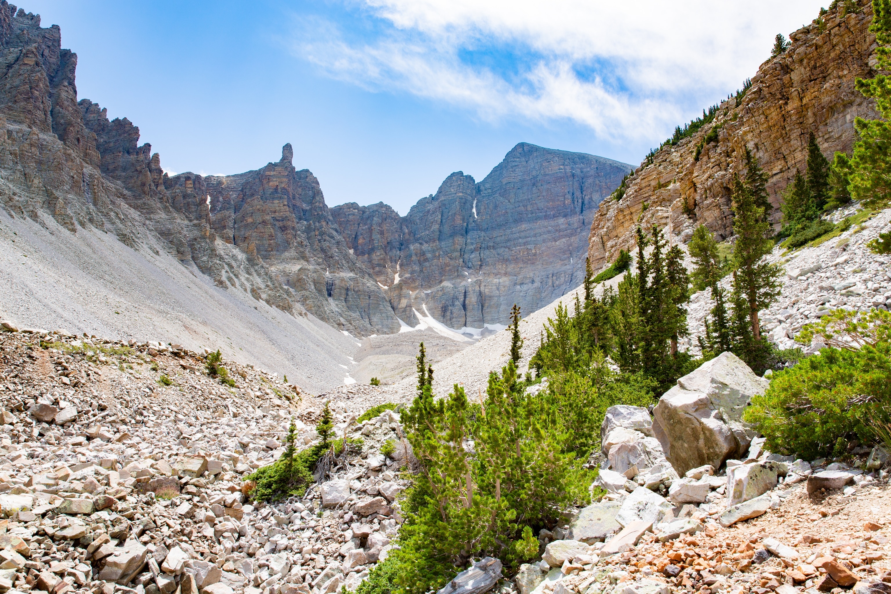 Photograph from a deep canyon within Great Basin National Park