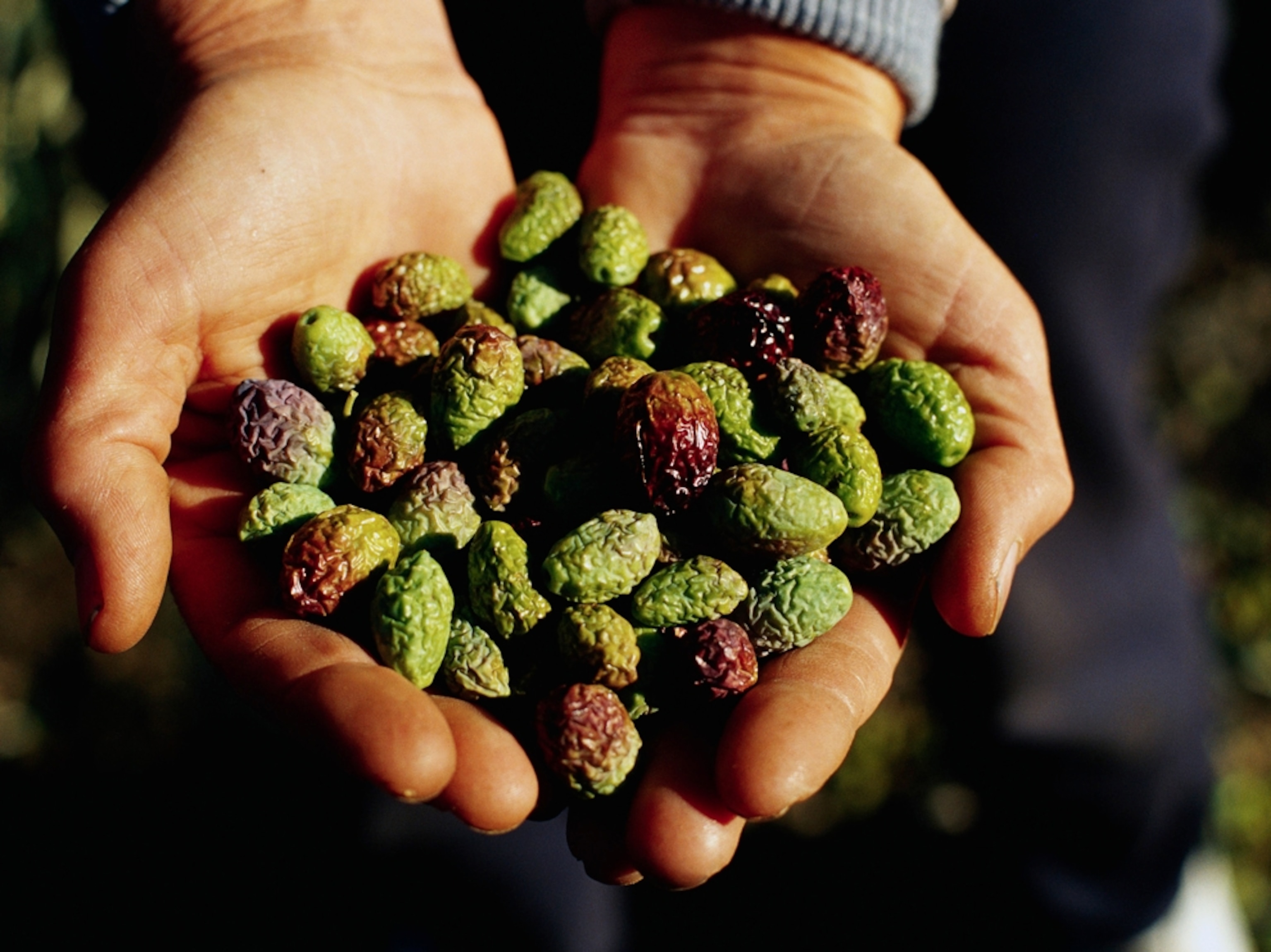 Man holding olives