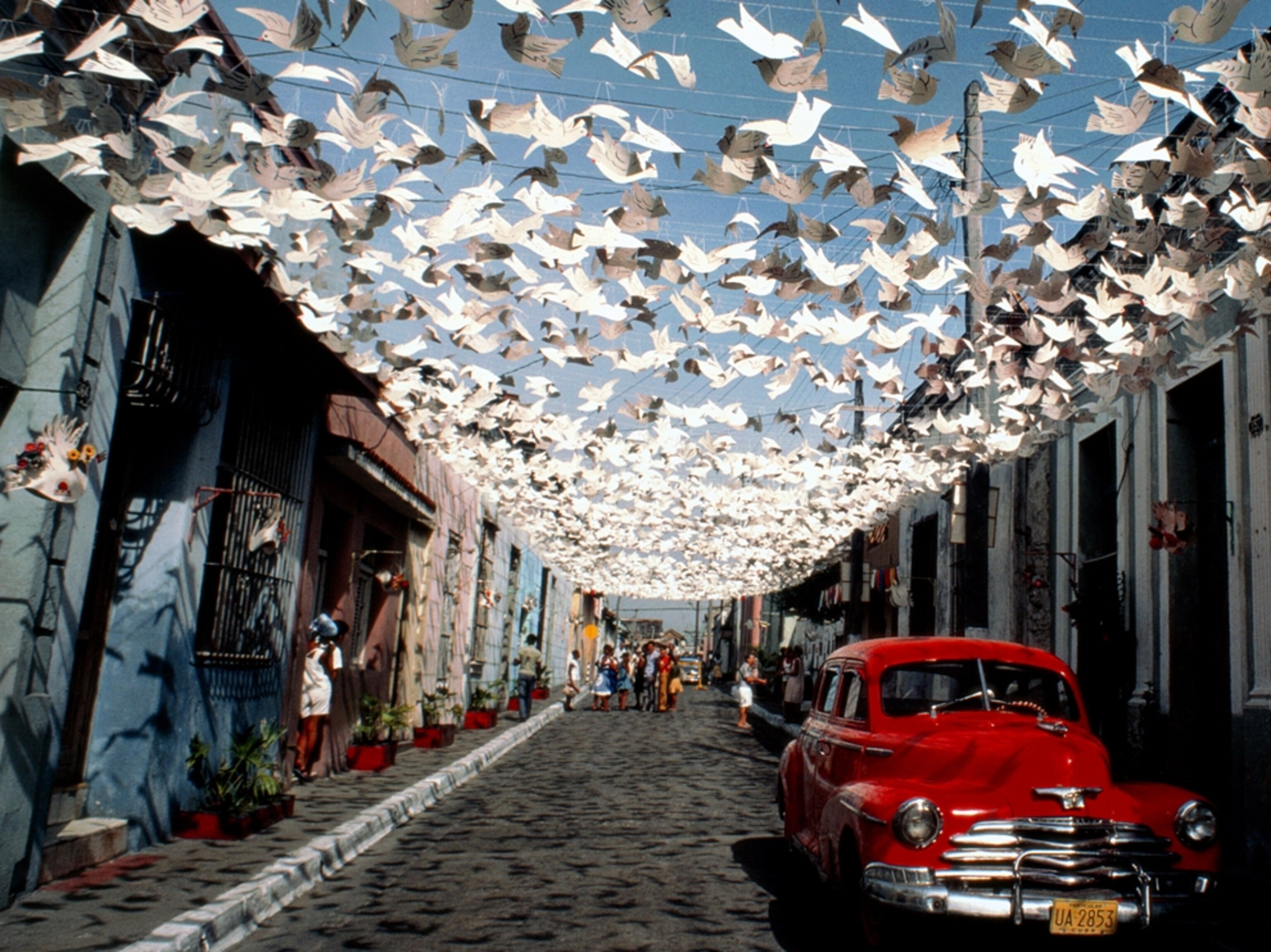 Strings of paper birds festooning narrow street