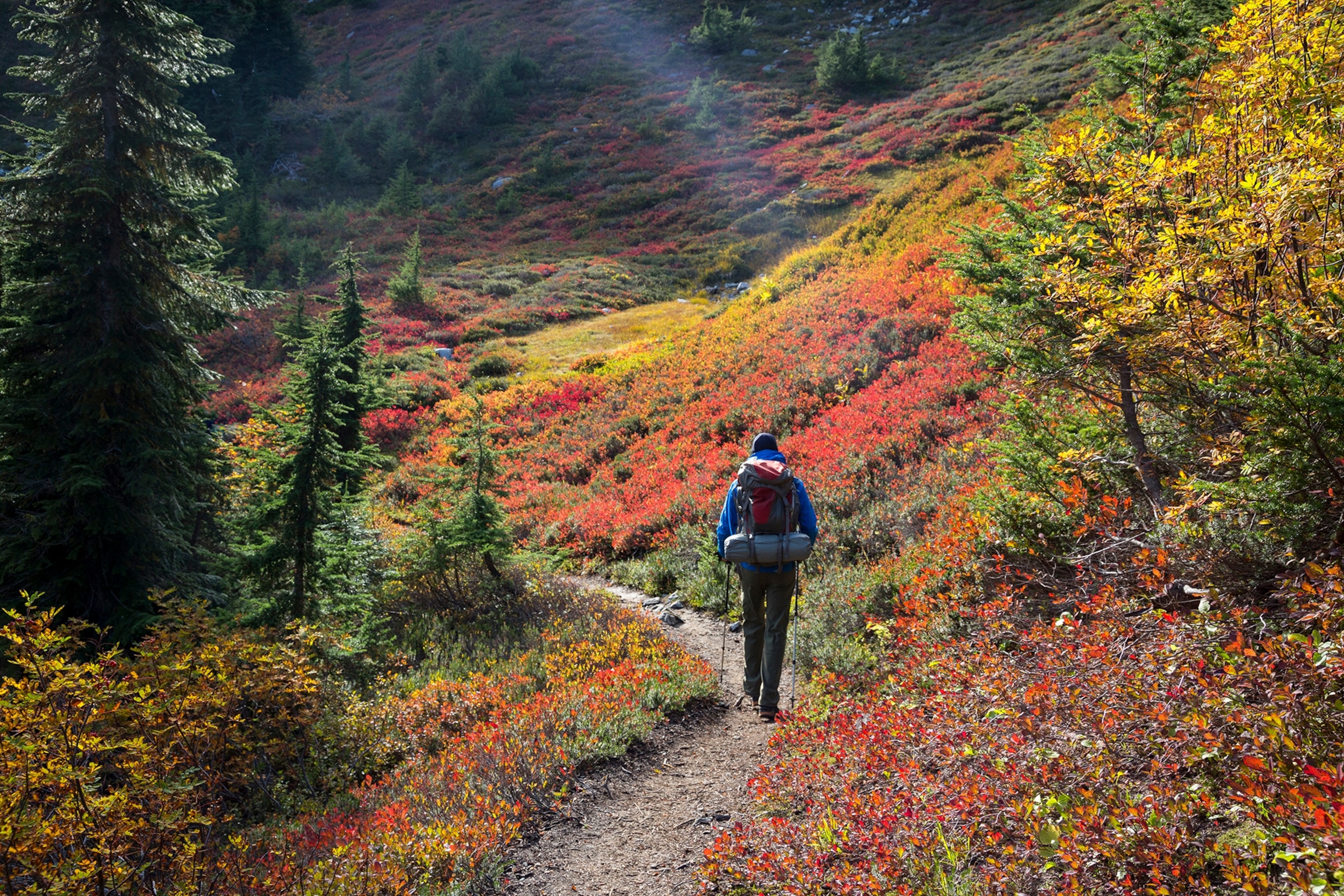 Backpacker walking along a path surrounded by fall colours on the surrounding hillsides