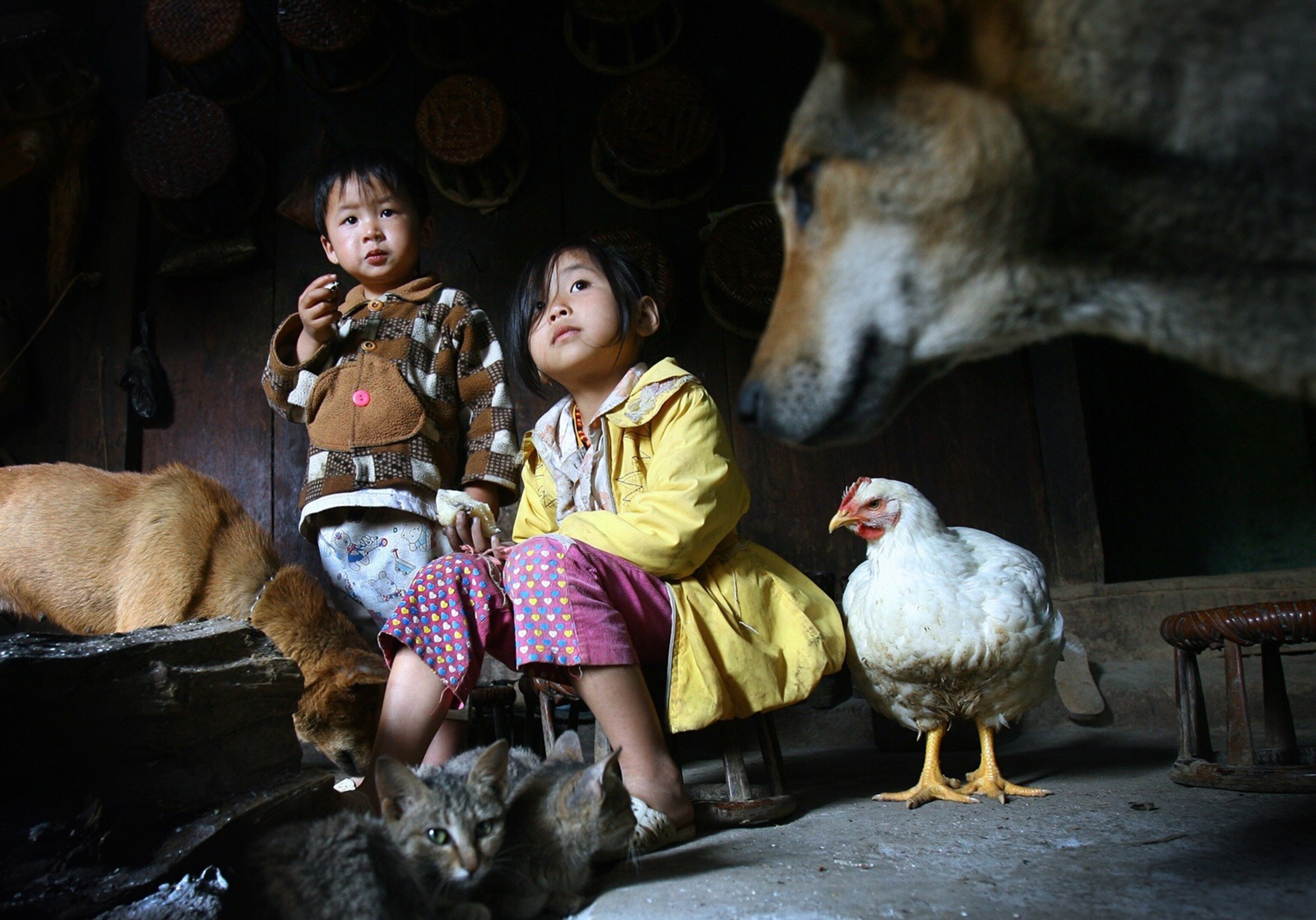 In the kitchen of H'mong ethnic at Moc Chau - Son La