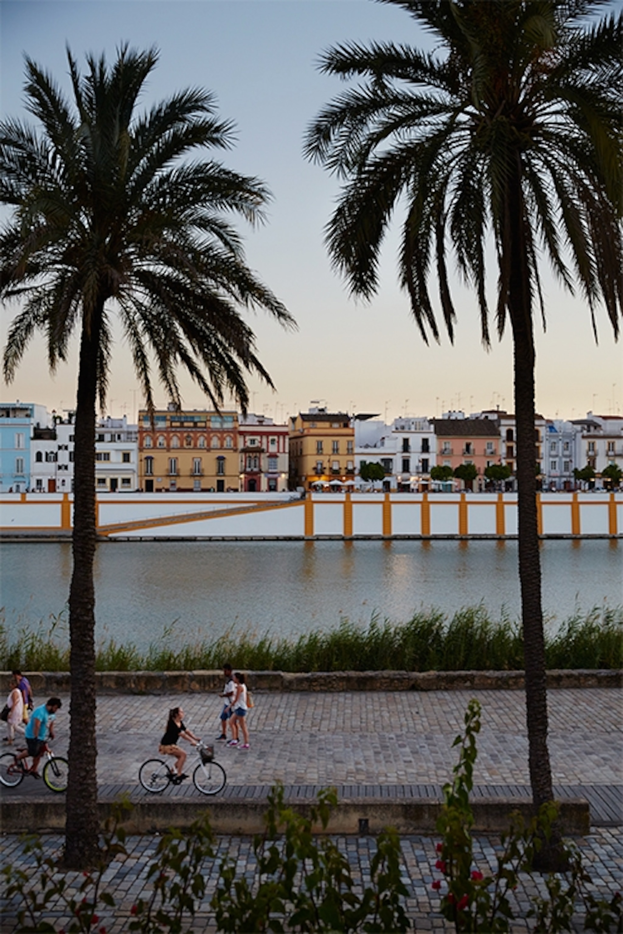 palm-lined promenade in Seville, Spain