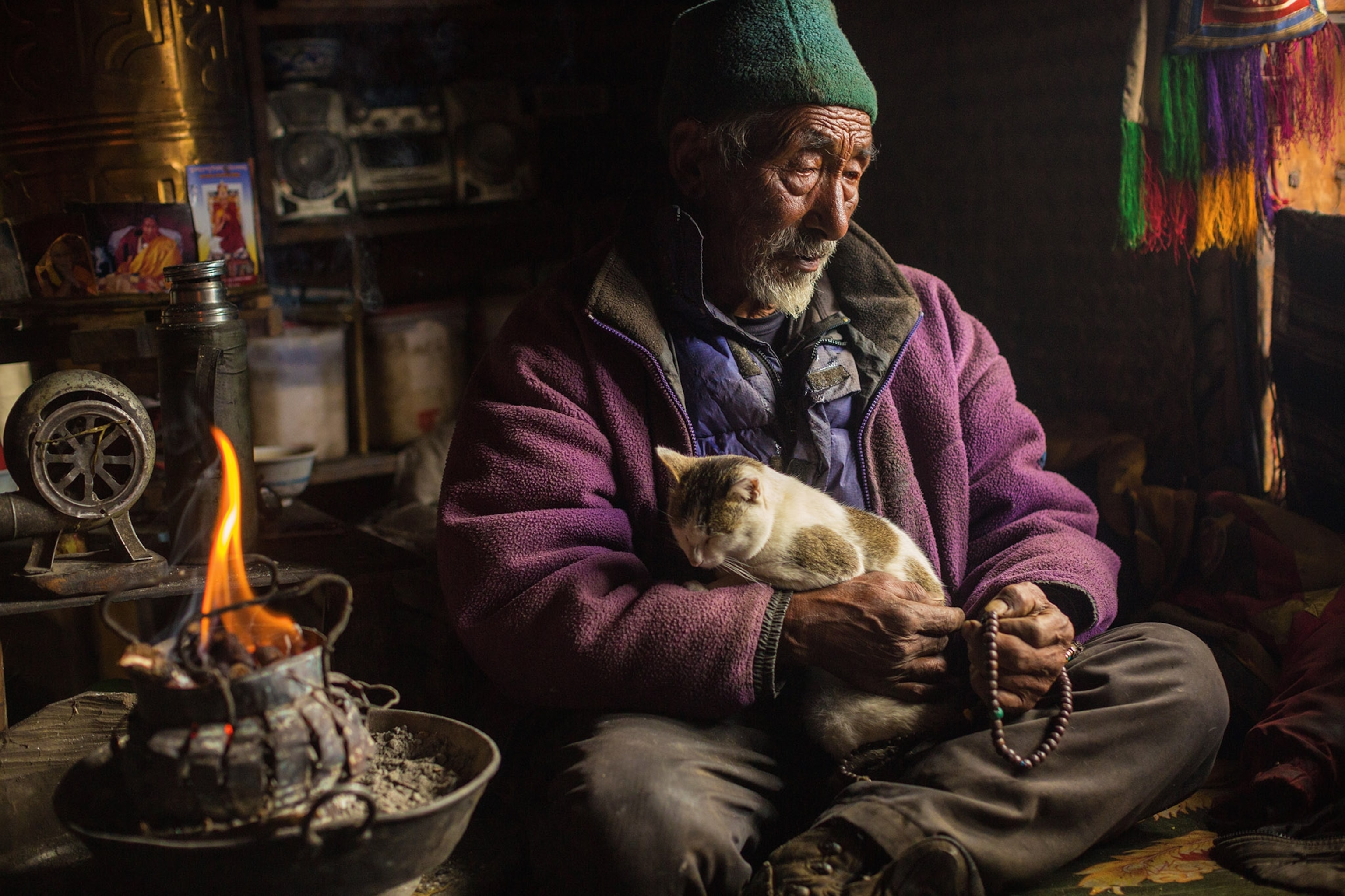 An older man wearing a green hat and purple jackets sits next to a small fire with a cat in his lap.