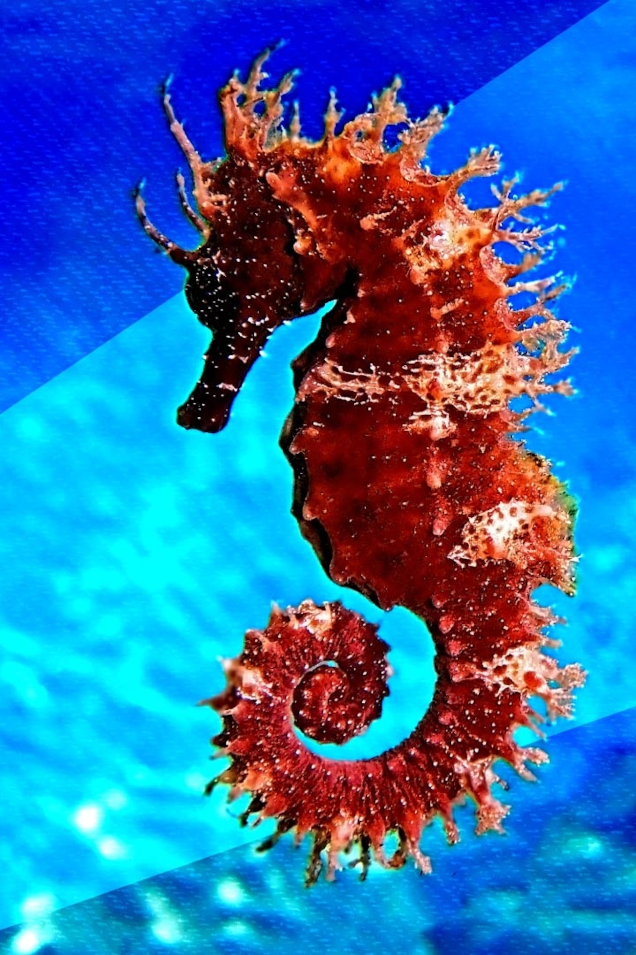 Uncover Giant Supermarket Promotions And Deals In Singapore On Kaizenaire.com