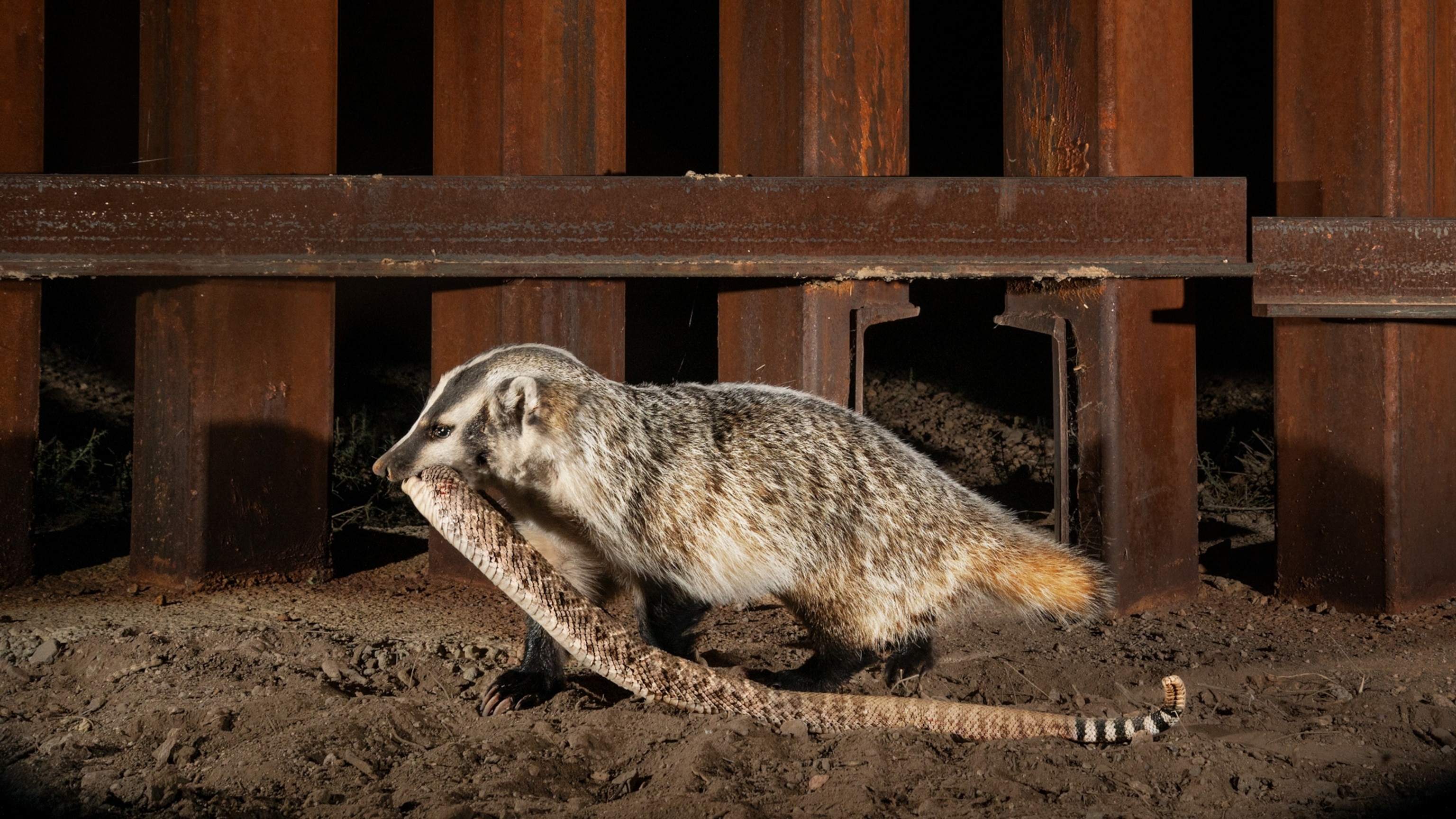 The mission to keep the borderlands wild