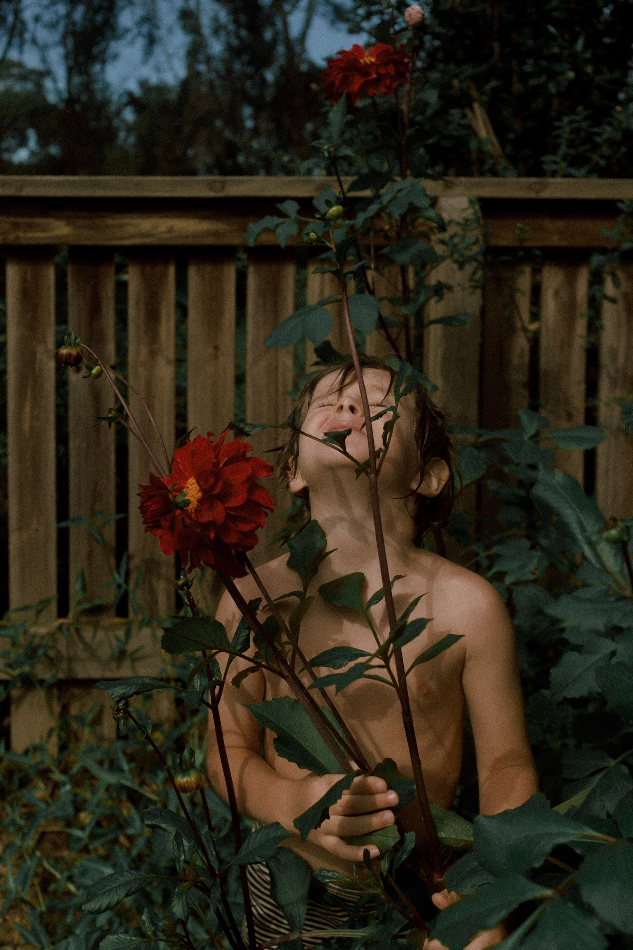 a little boy smelling flowers