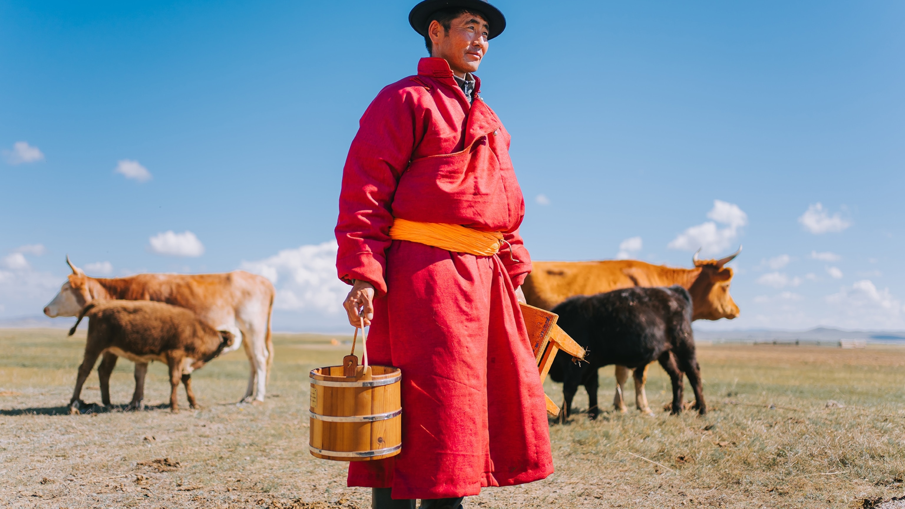How one author found Mongolian herders trading crypto and microchipping camels