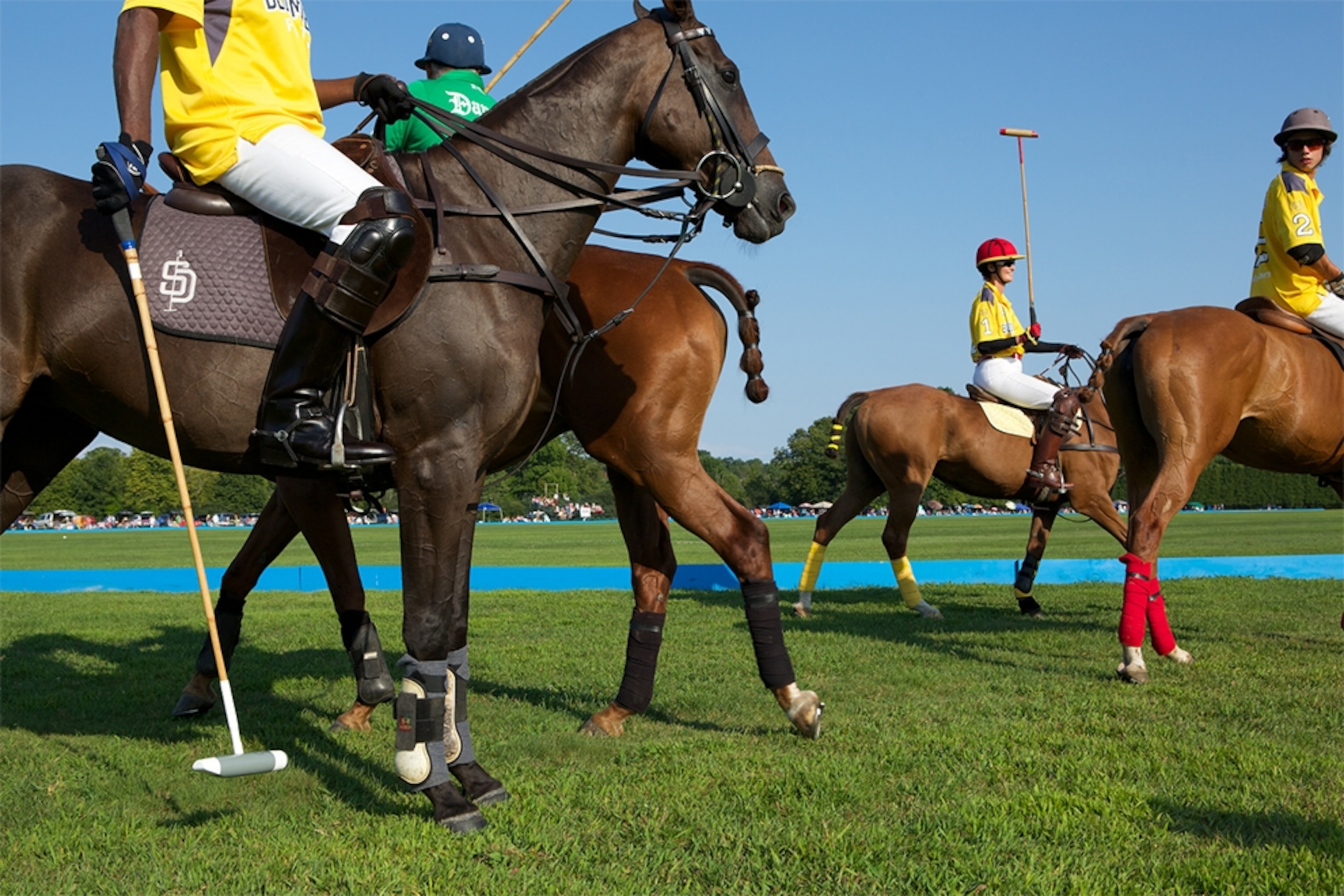 polo match in Saratoga, New York