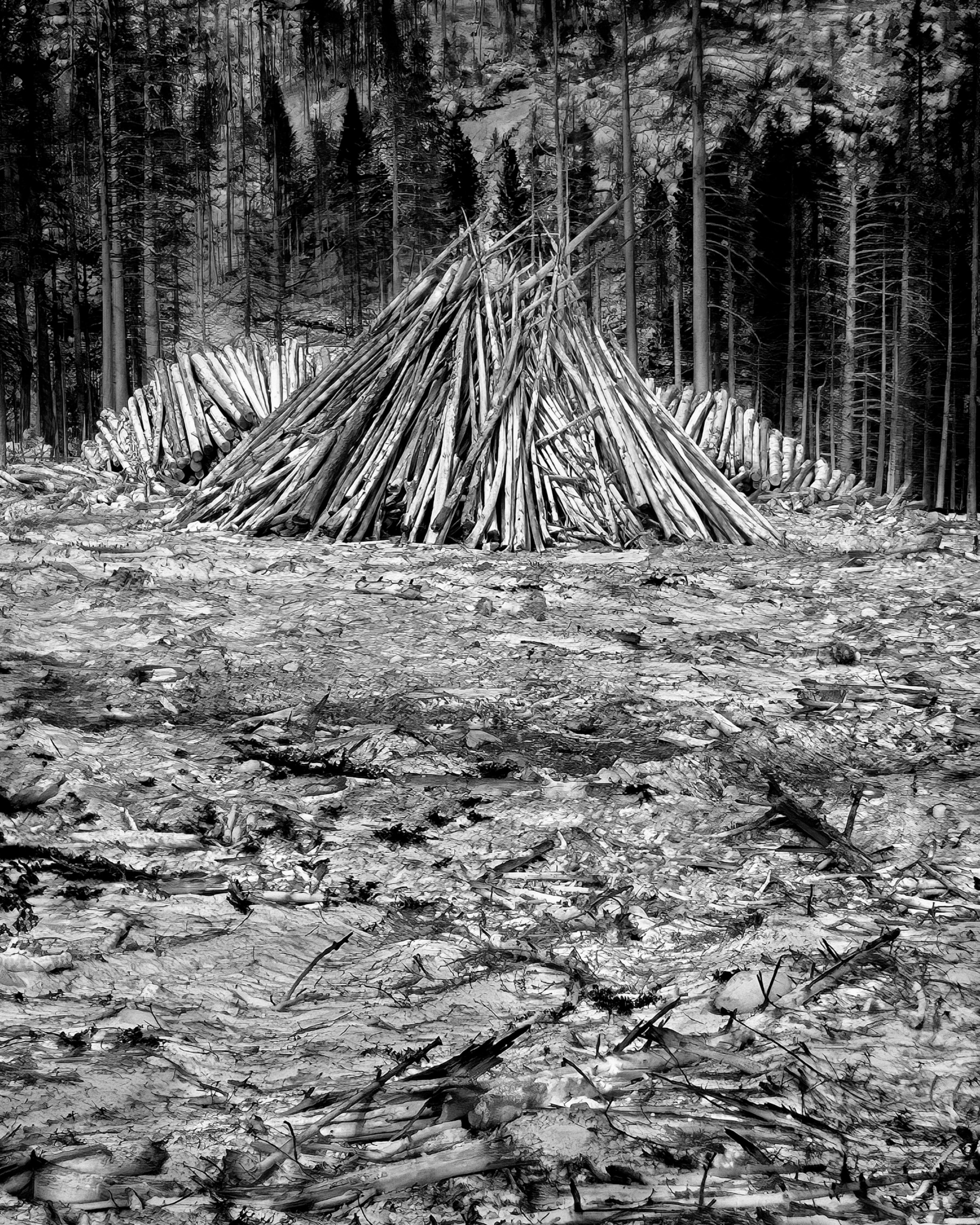 A thermal black and white photo of lumber collected from the Caldor fire, with the objects that are the hottest appear brightest, while those that are coldest appear darkest.