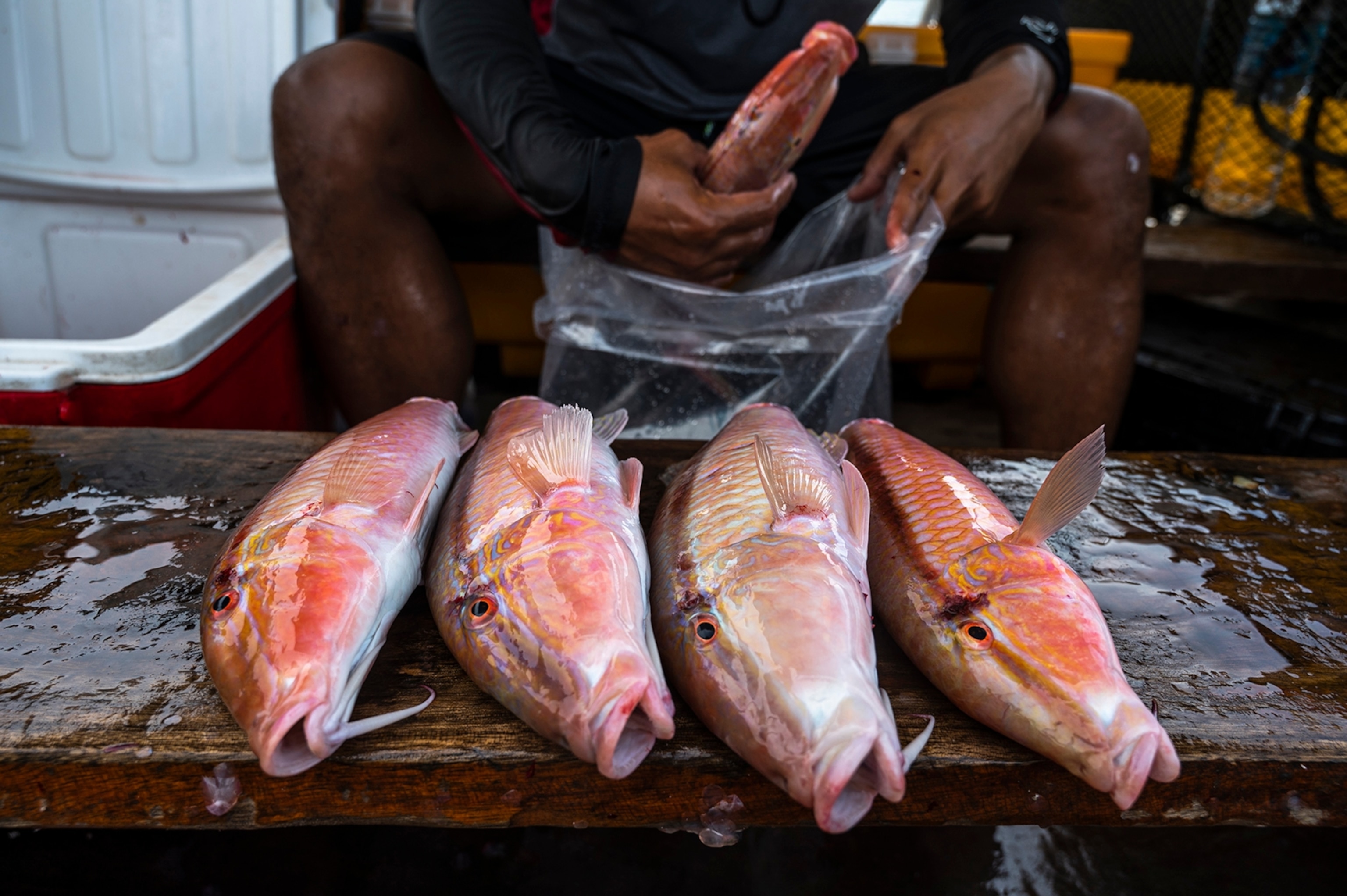 Image of Urak Lawoi fisherman and fish handler on the way to fishing ground.