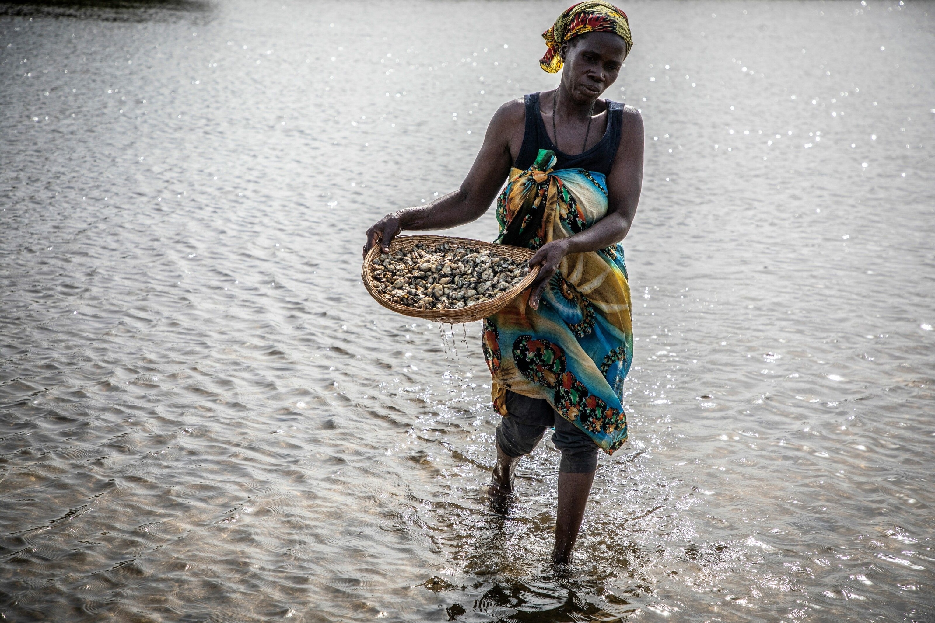 Lucy Jatta washes oysters to remove dirt after boiling and shucking them. They’ve been harvested by the TRY Oyster Women’s Association from mangroves flanking Gambia River. TRY Oyster Women’s Association is a community-based organisation of over 500 women oyster and cockle harvesters in The Gambia working to raise their standard of living by improving their access to markets.