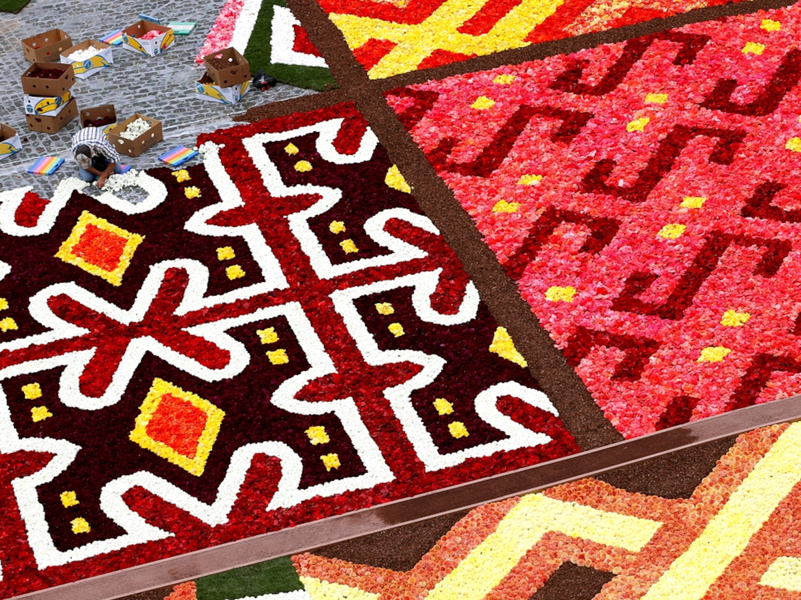 a flower carpet, Grand-Place, Brussels, Belgium
