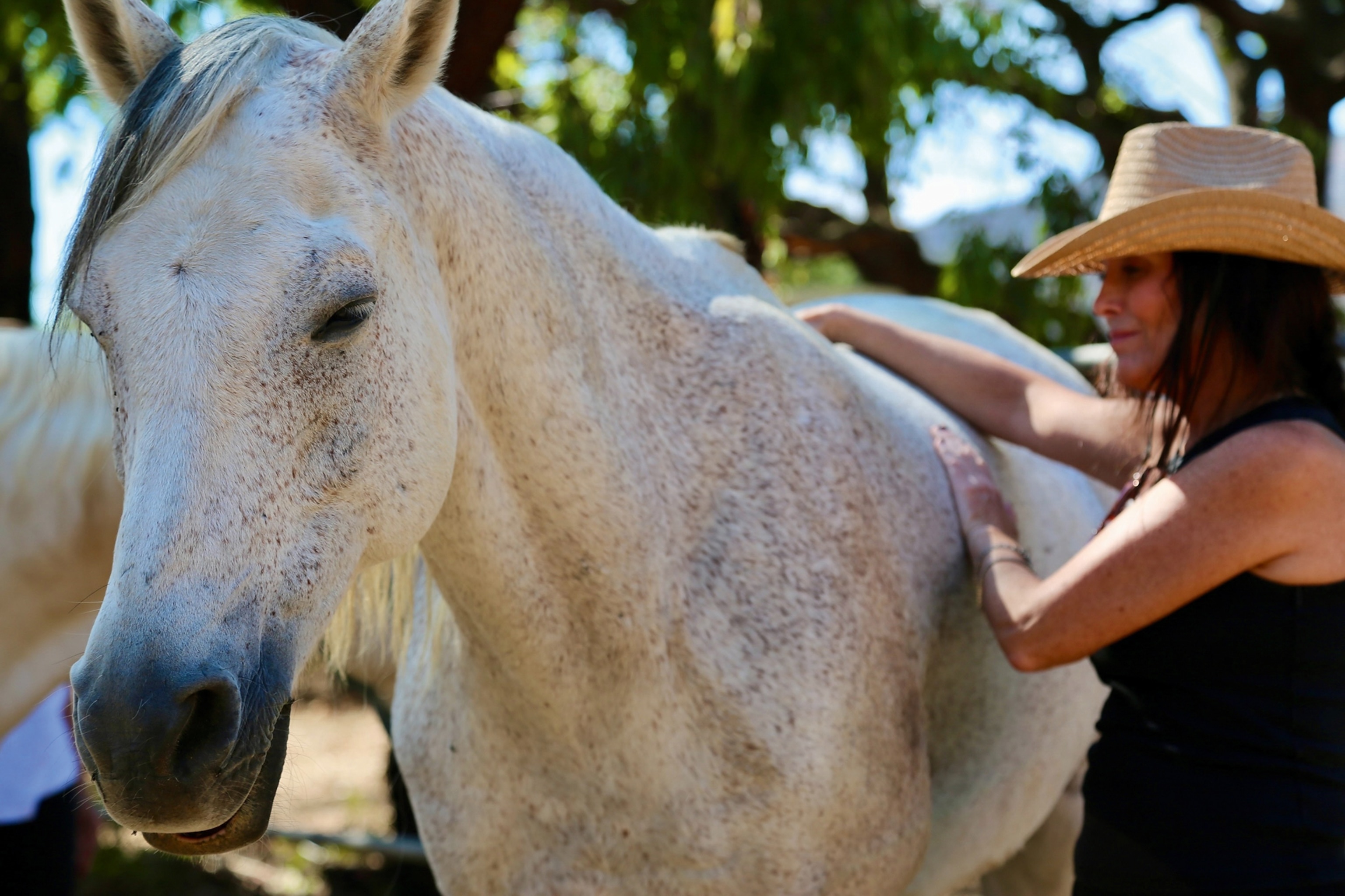 A woman wearing a straw cowboy hat next to a white horse on a ranch.