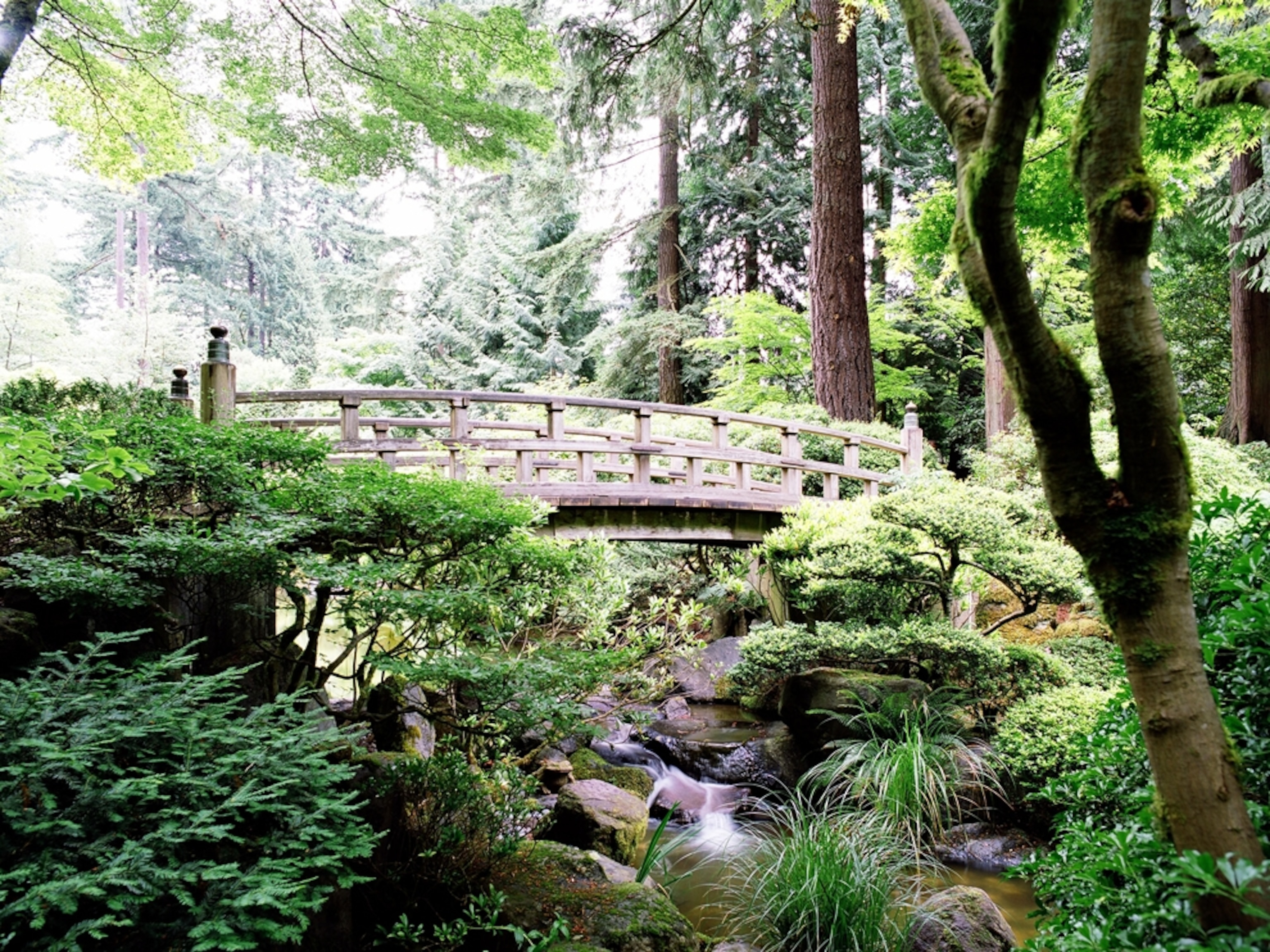 Japanese garden at Washington Park, Portland, Oregon
