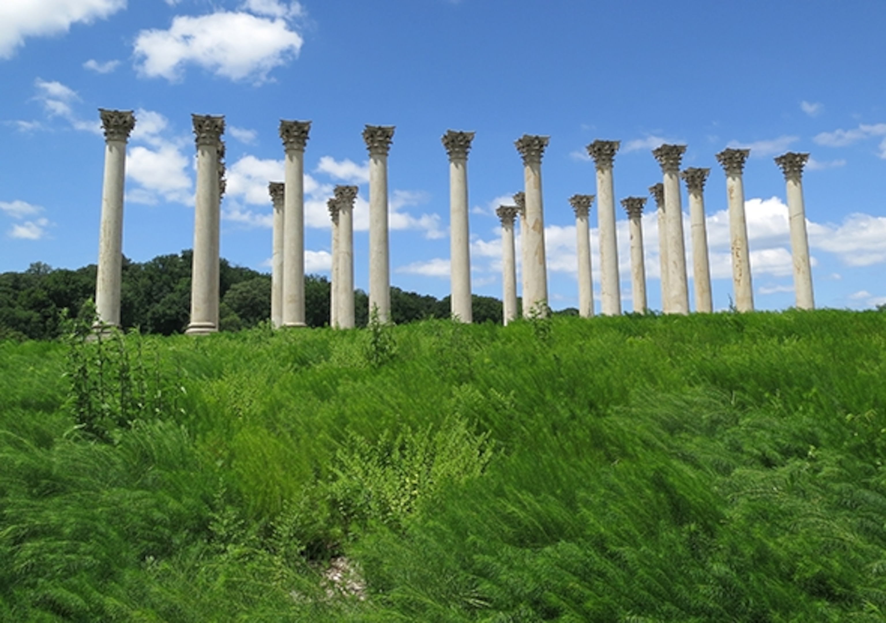 Relocated pillars from the U.S. Capitol stand near D.C.'s arboretum. (Photograph by Robert Reid)